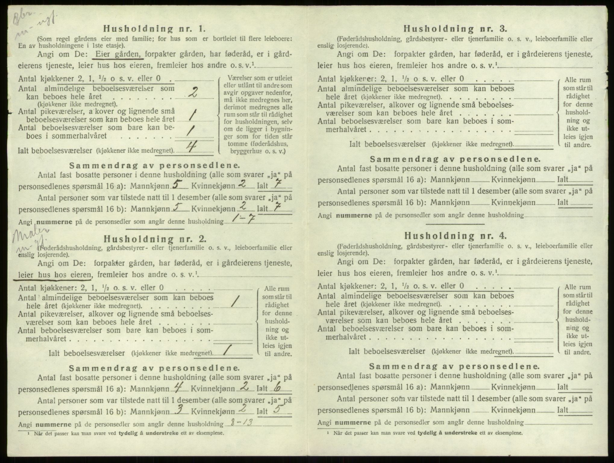 SAB, 1920 census for Stryn, 1920, p. 313