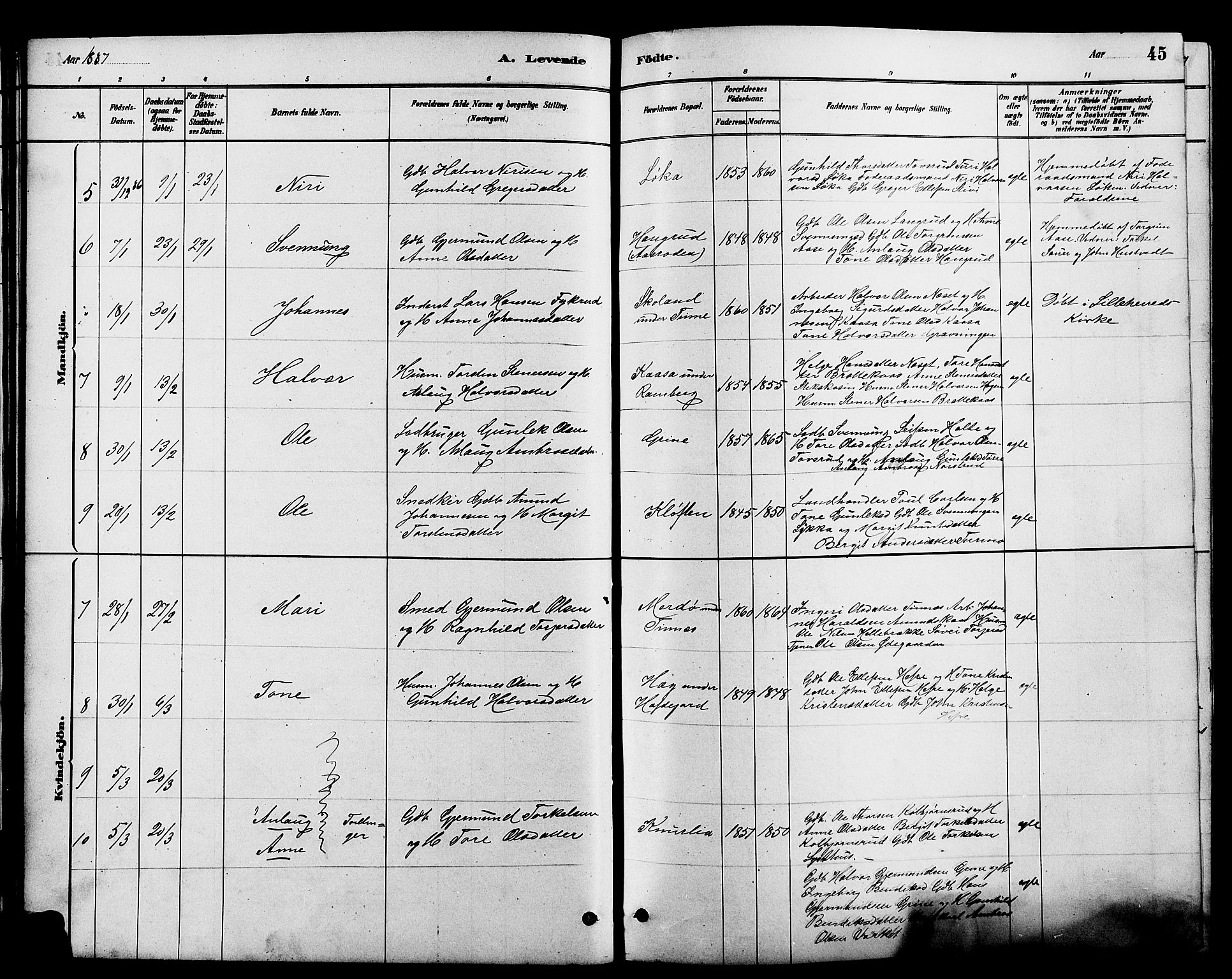 Heddal kirkebøker, SAKO/A-268/G/Ga/L0002: Parish register (copy) no. I 2, 1879-1908, p. 45