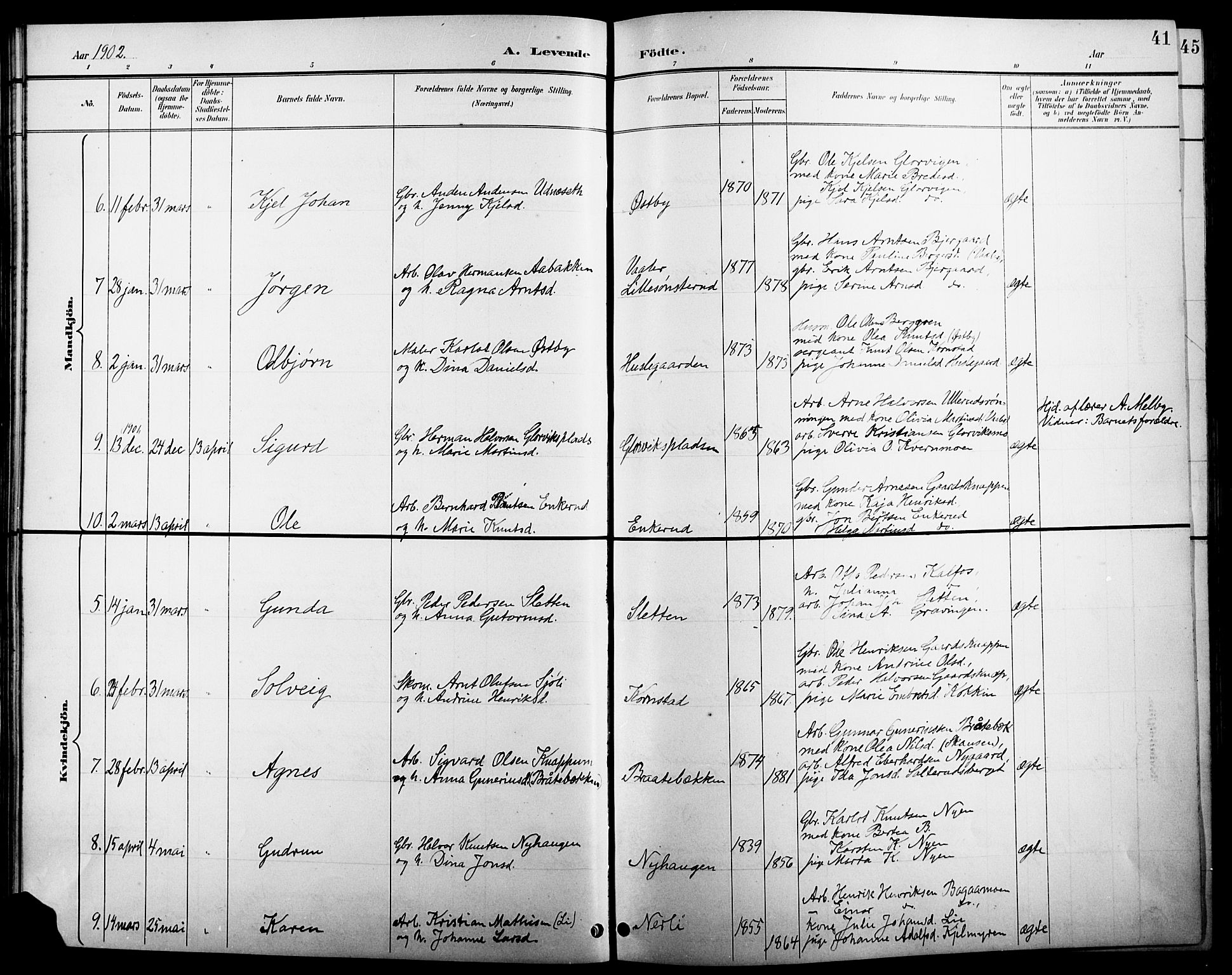 Åsnes prestekontor, AV/SAH-PREST-042/H/Ha/Hab/L0005: Parish register (copy) no. 5, 1895-1920, p. 41