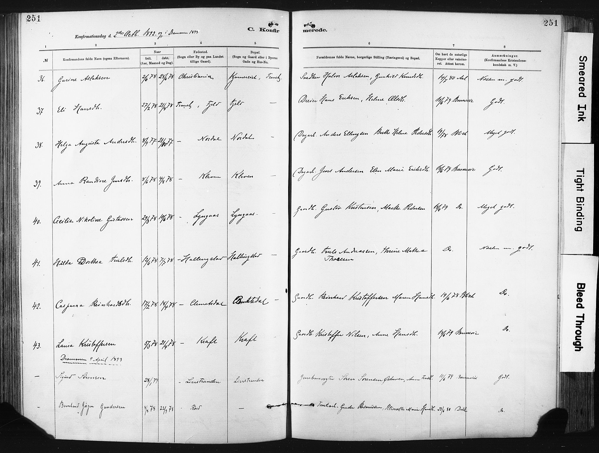 Lier kirkebøker, AV/SAKO-A-230/F/Fa/L0015: Parish register (official) no. I 15, 1883-1894, p. 251