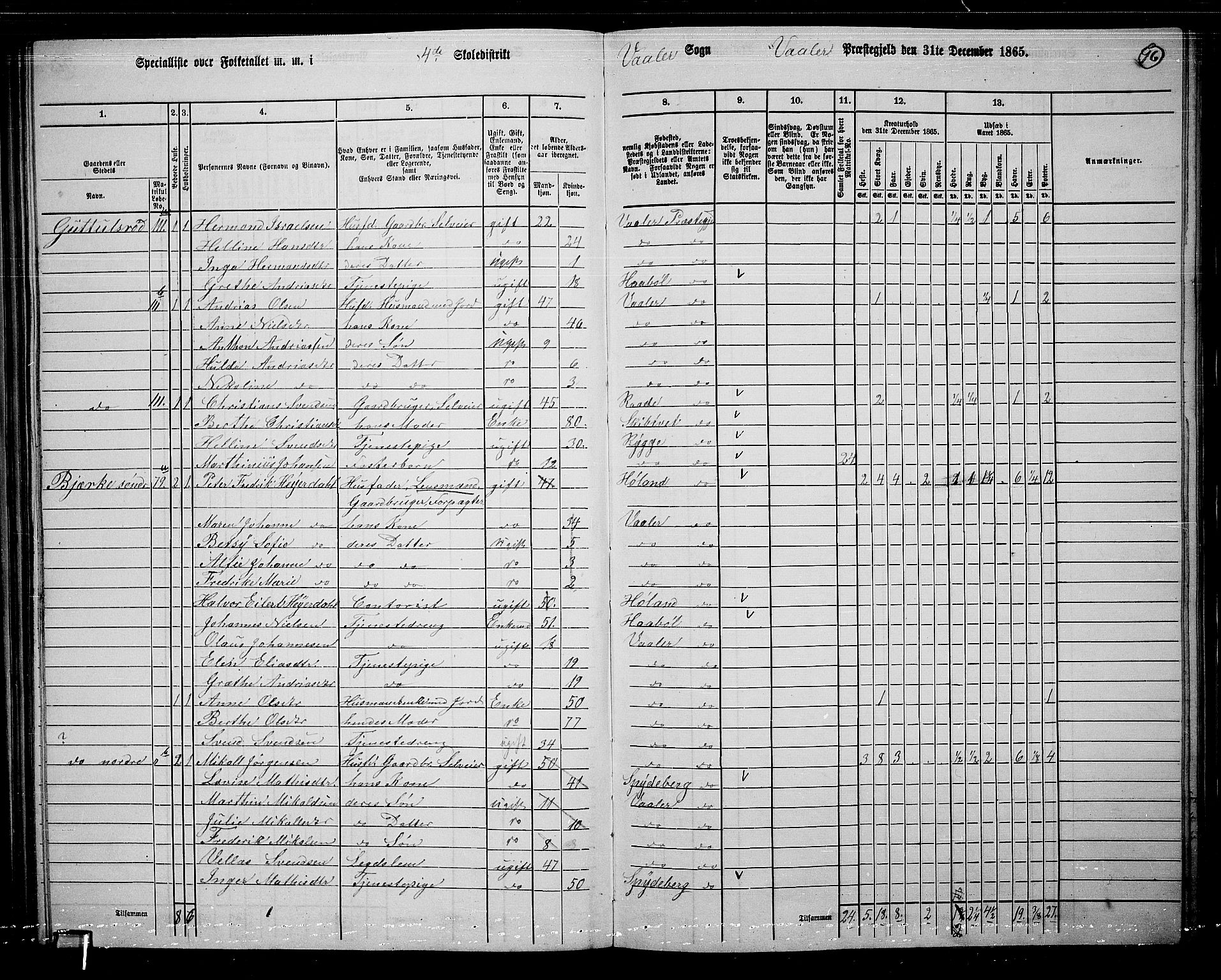 RA, 1865 census for Våler, 1865, p. 86