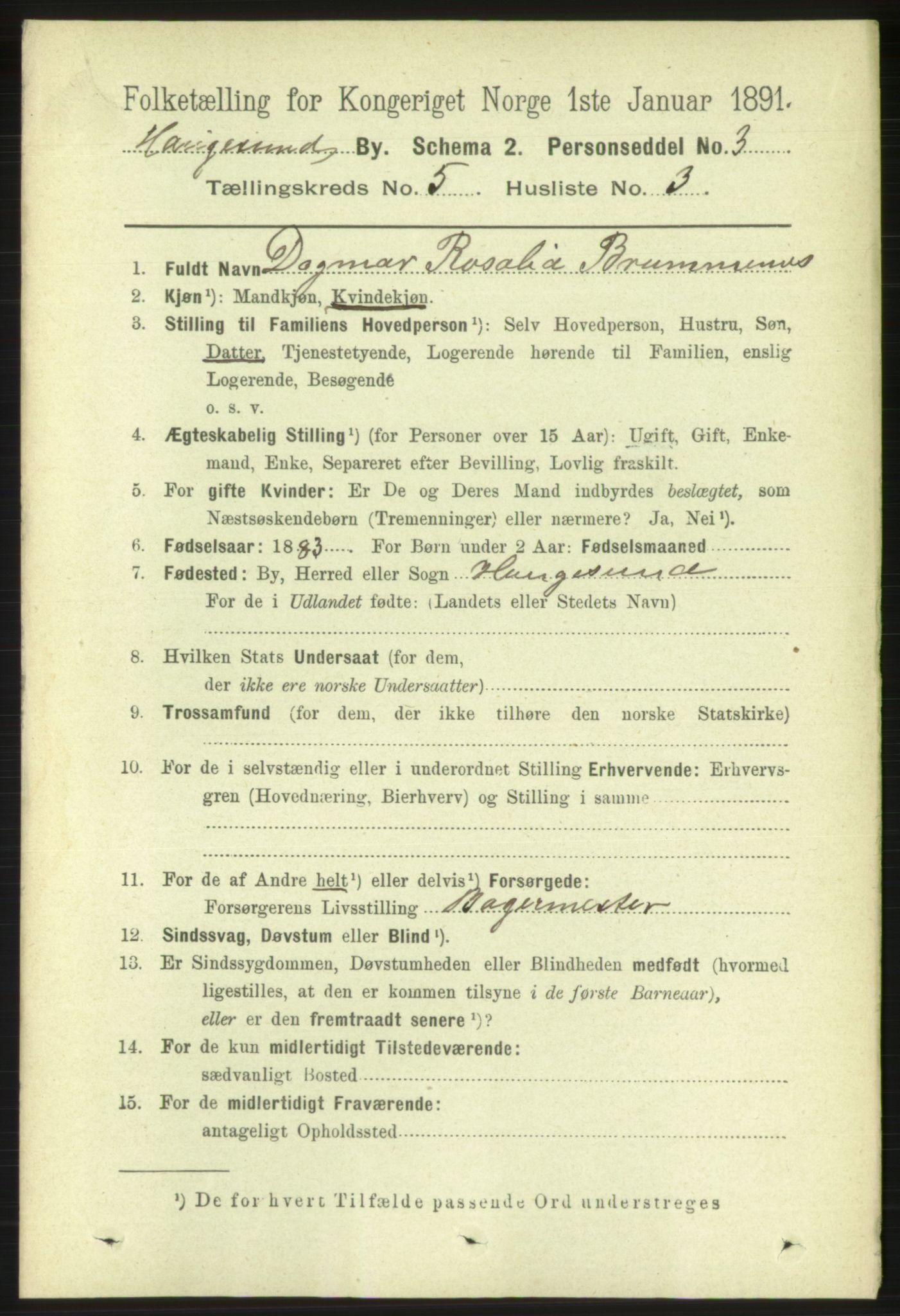 RA, 1891 census for 1106 Haugesund, 1891, p. 1955
