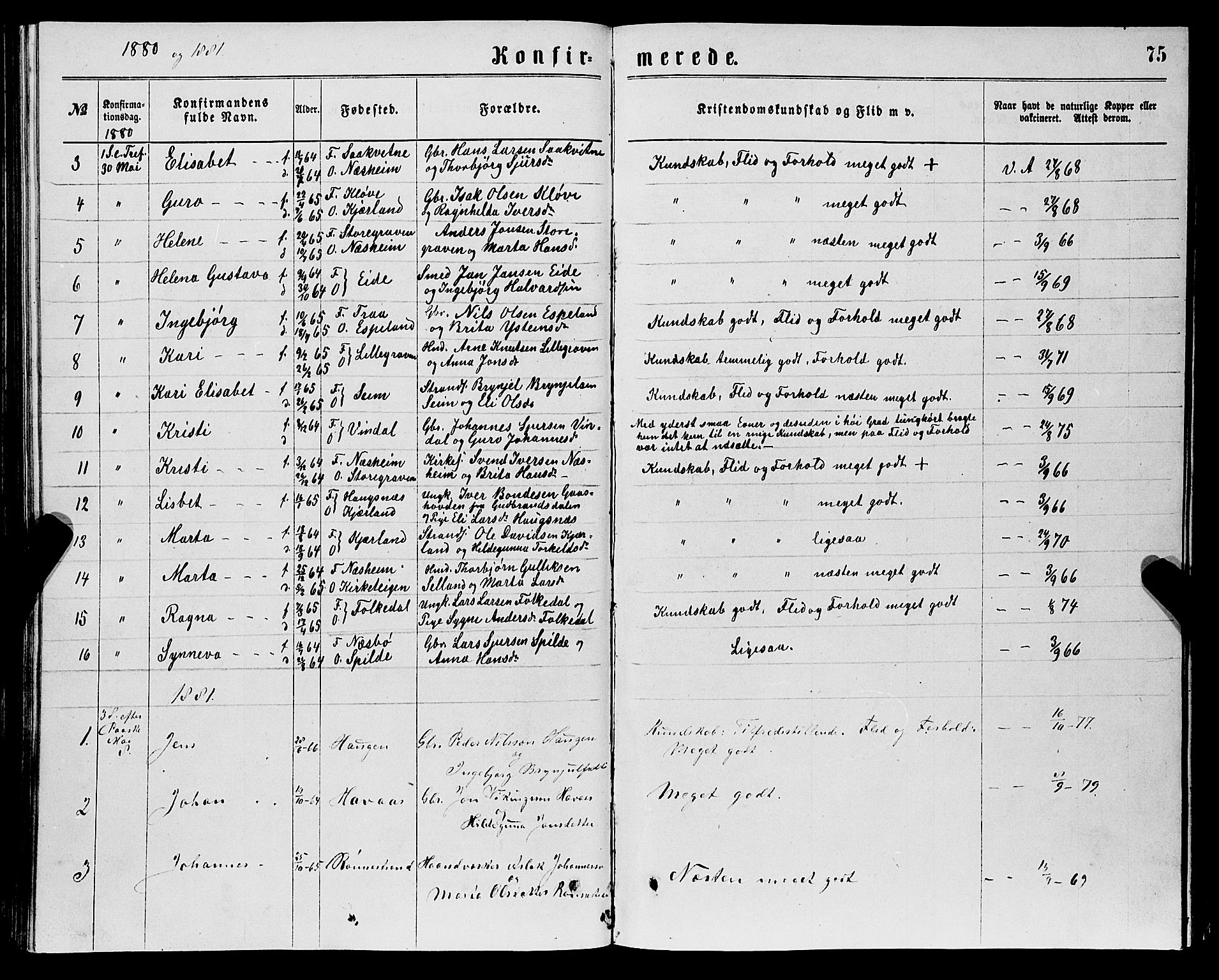 Ulvik sokneprestembete, SAB/A-78801/H/Hab: Parish register (copy) no. B 2, 1869-1883, p. 75