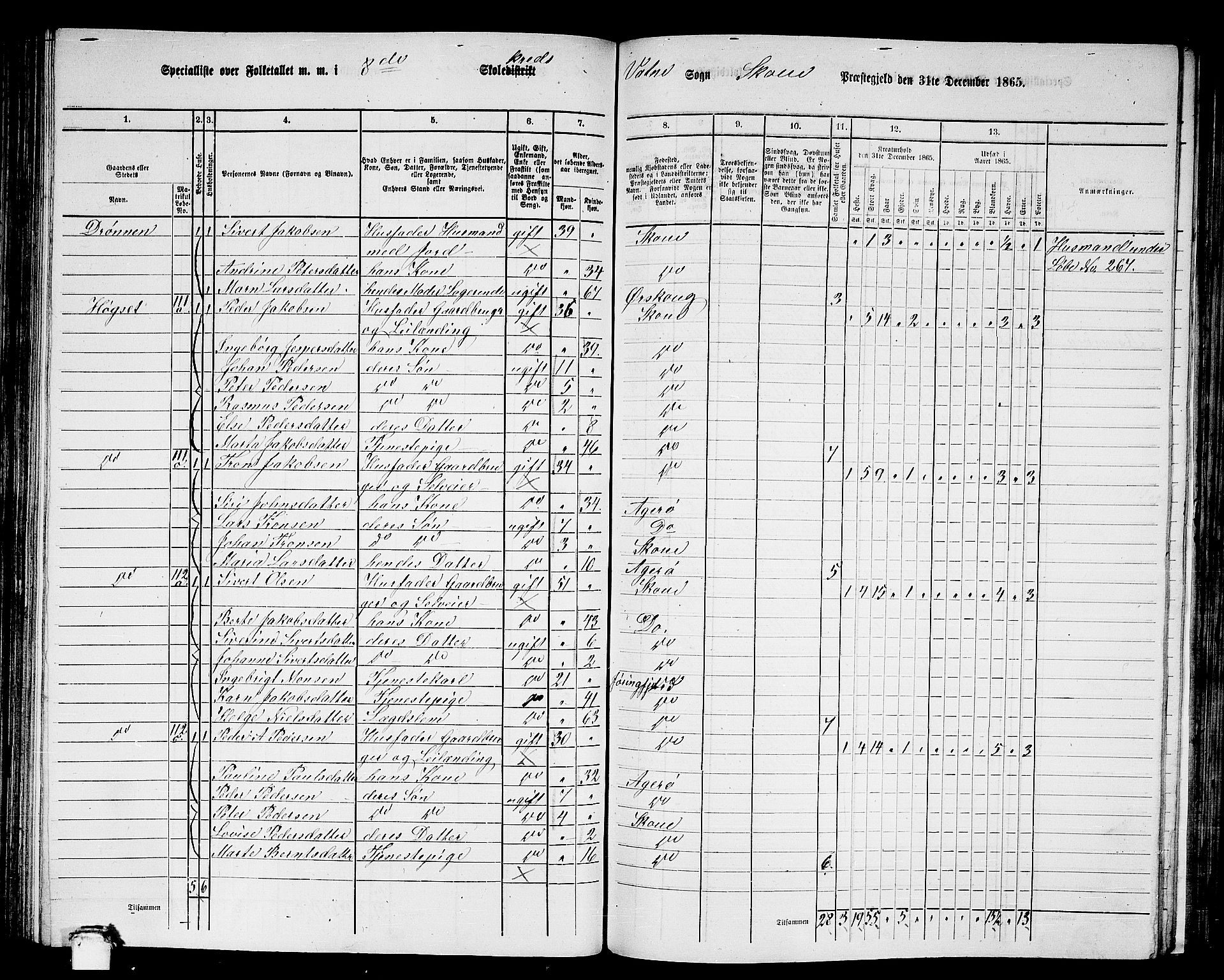 RA, 1865 census for Skodje, 1865, p. 95