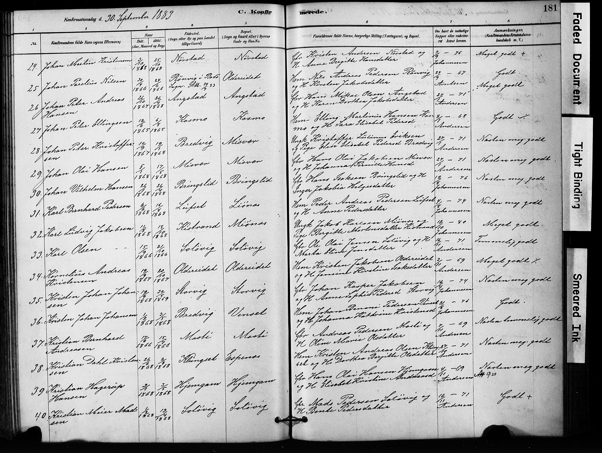 Ministerialprotokoller, klokkerbøker og fødselsregistre - Nordland, SAT/A-1459/852/L0754: Parish register (copy) no. 852C05, 1878-1894, p. 181