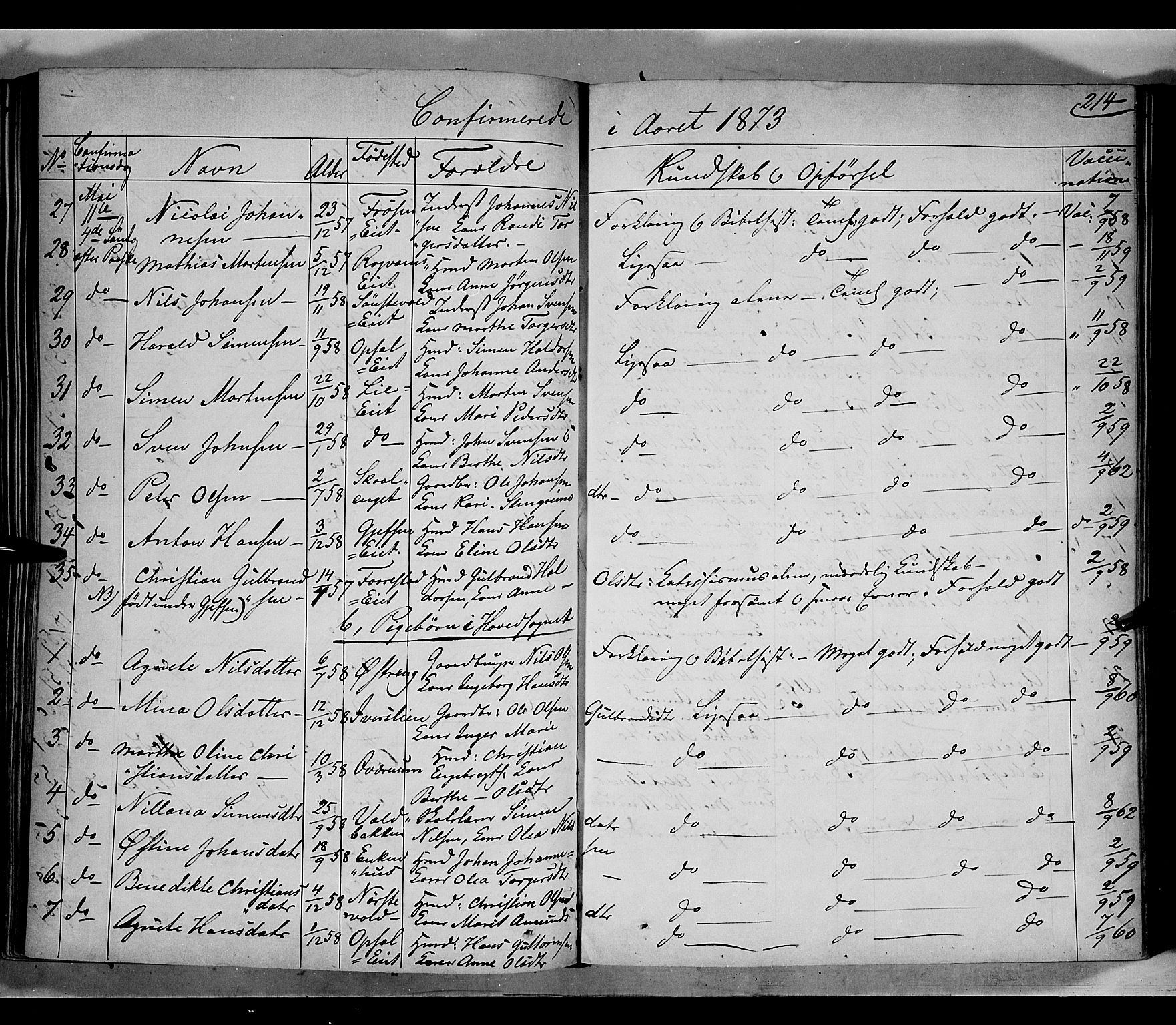 Gausdal prestekontor, AV/SAH-PREST-090/H/Ha/Haa/L0009: Parish register (official) no. 9, 1862-1873, p. 214