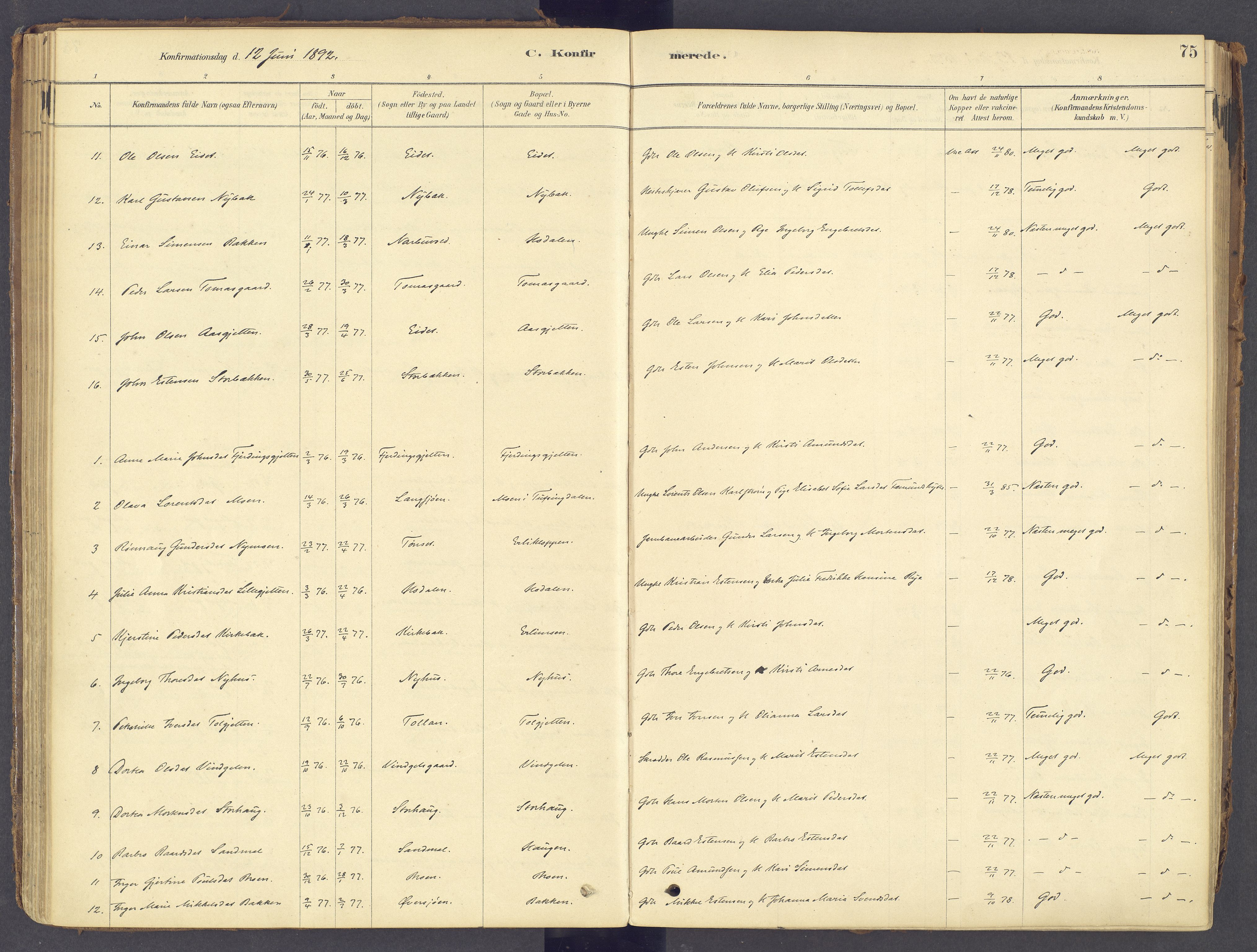 Tolga prestekontor, AV/SAH-PREST-062/K/L0011: Parish register (official) no. 11, 1877-1920, p. 75