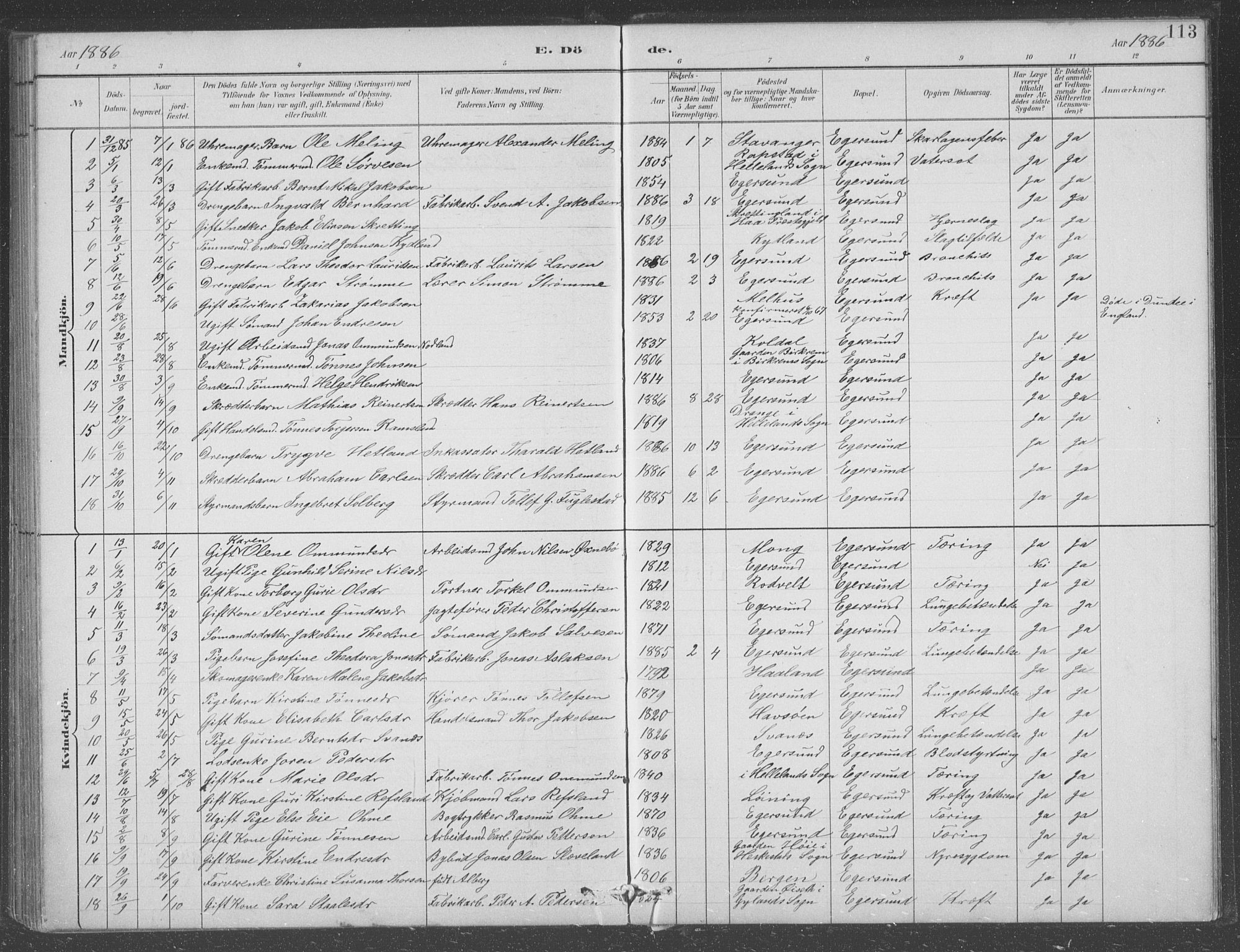 Eigersund sokneprestkontor, SAST/A-101807/S09/L0008: Parish register (copy) no. B 8, 1882-1892, p. 113