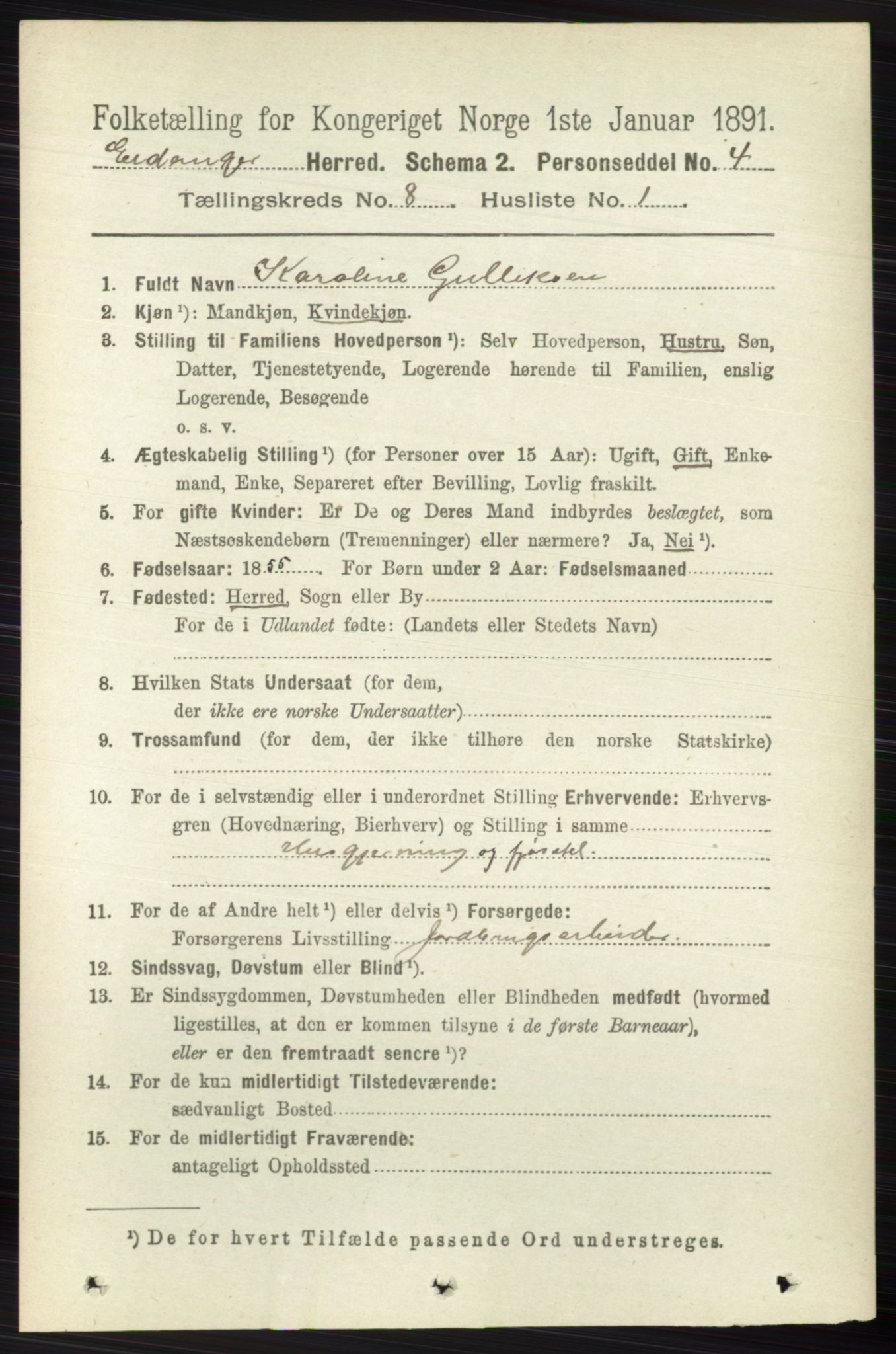 RA, 1891 census for 0813 Eidanger, 1891, p. 2990