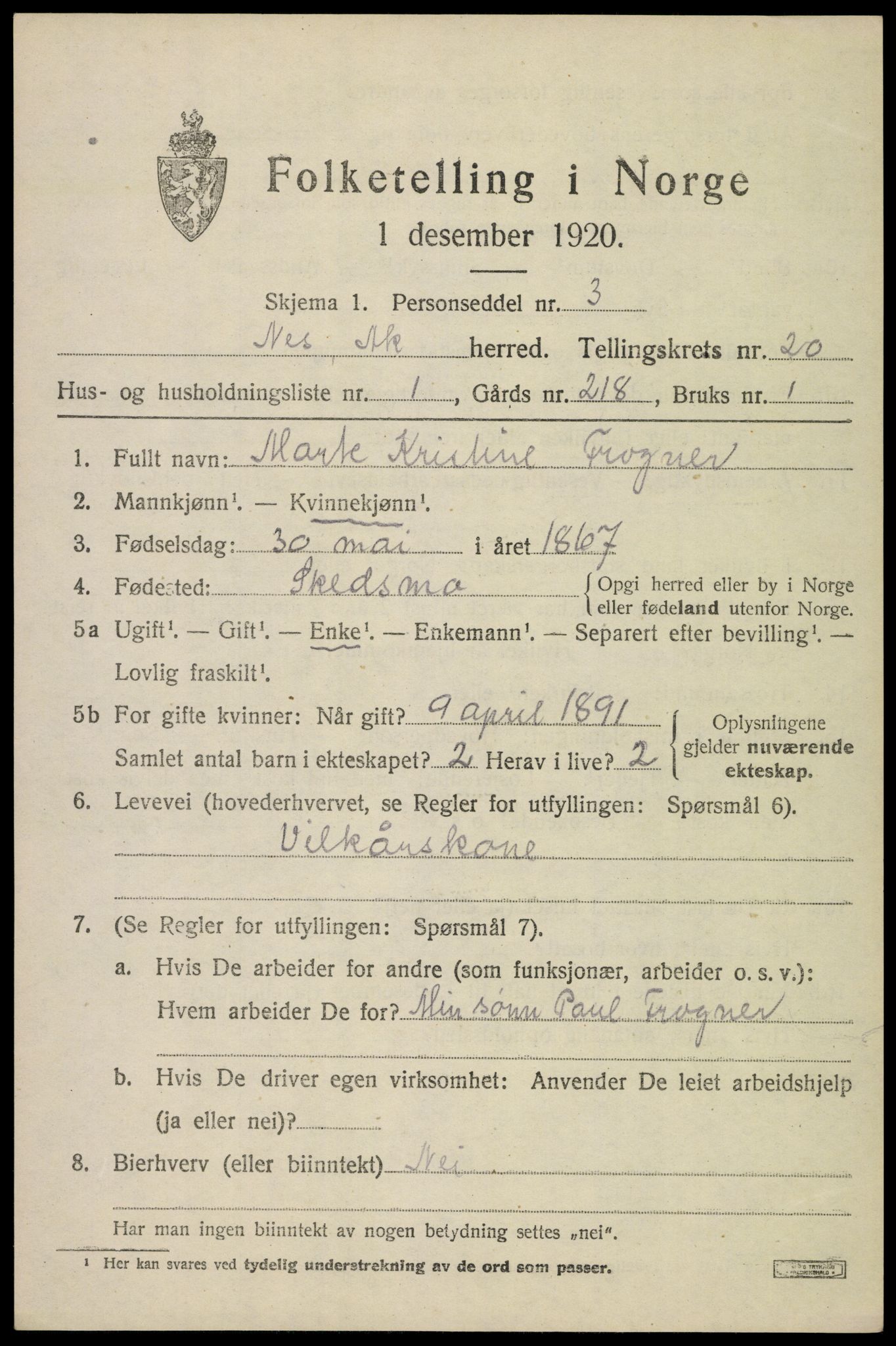 SAO, 1920 census for Nes, 1920, p. 21068