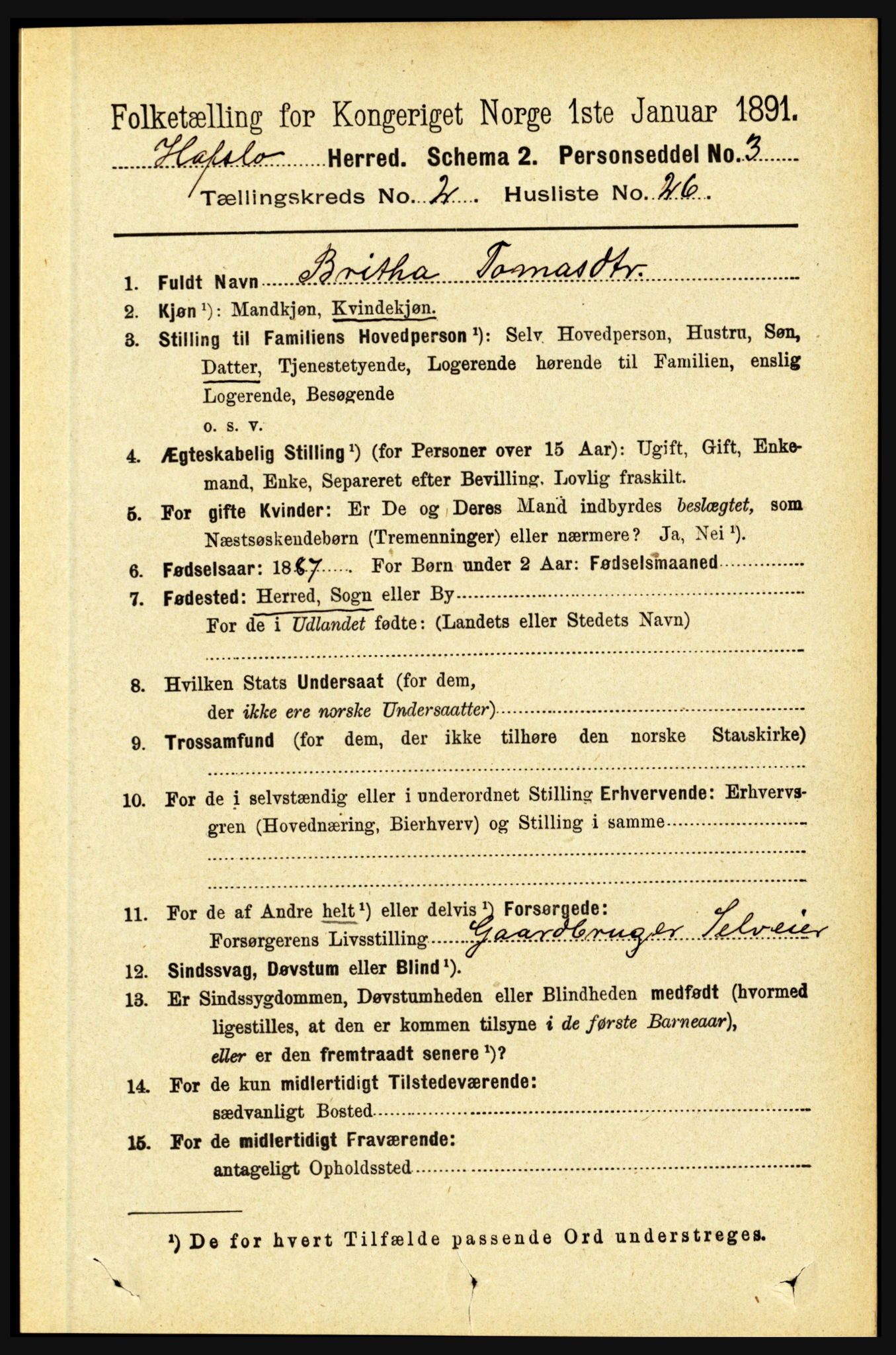 RA, 1891 census for 1425 Hafslo, 1891, p. 666