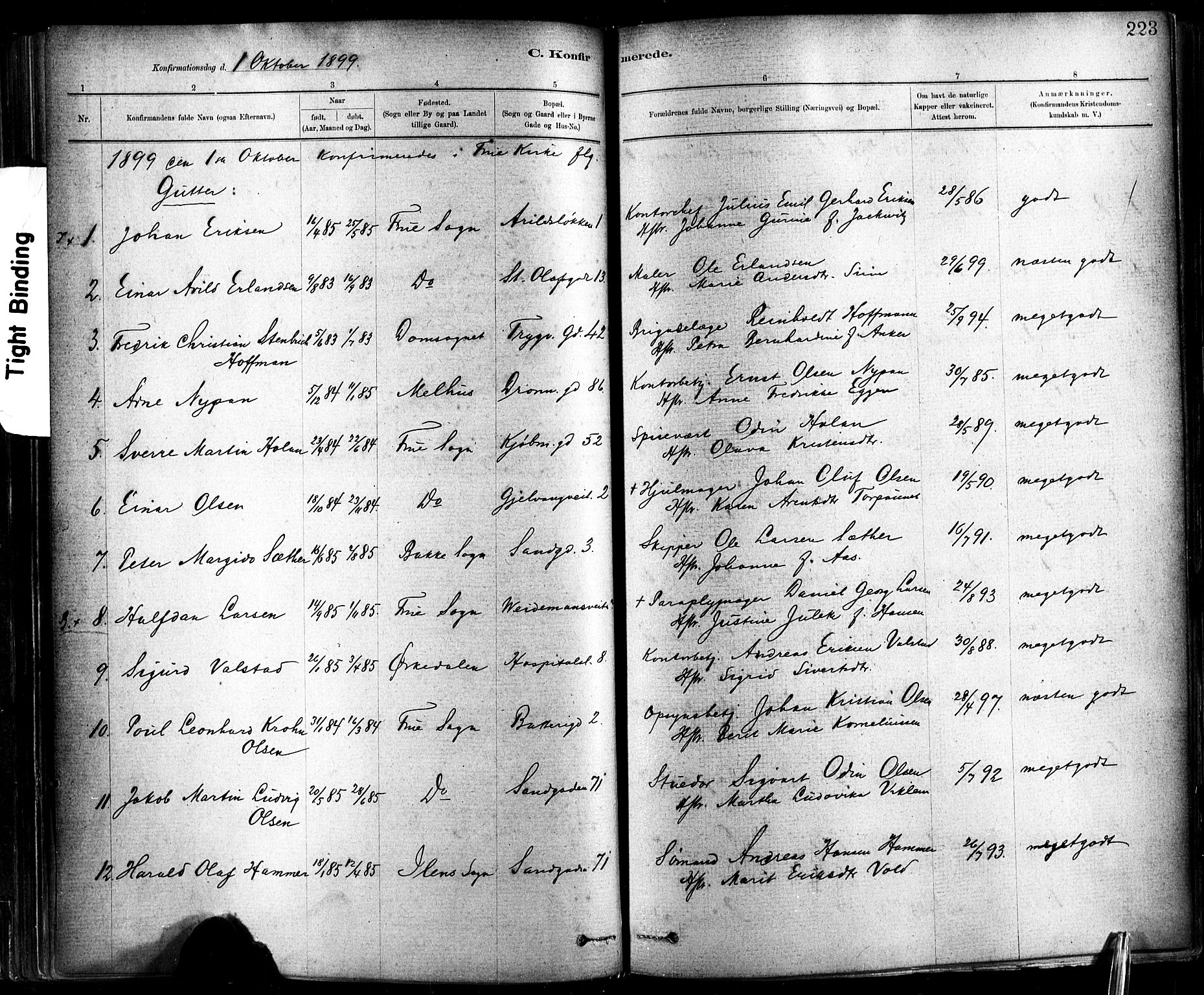 Ministerialprotokoller, klokkerbøker og fødselsregistre - Sør-Trøndelag, SAT/A-1456/602/L0119: Parish register (official) no. 602A17, 1880-1901, p. 223