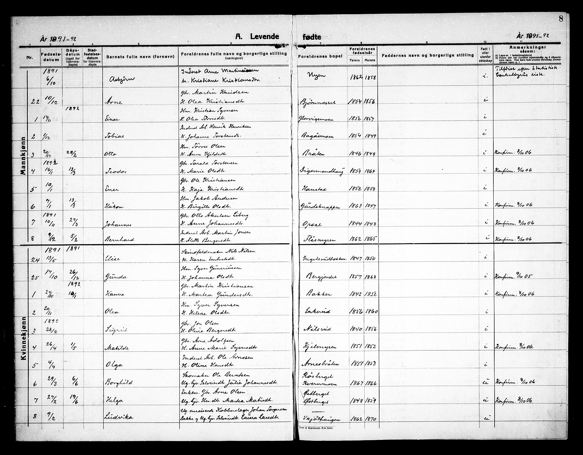 Åsnes prestekontor, SAH/PREST-042/H/Ha/Haa/L0000D: Parish register (official) no. 0B, 1890-1929, p. 8