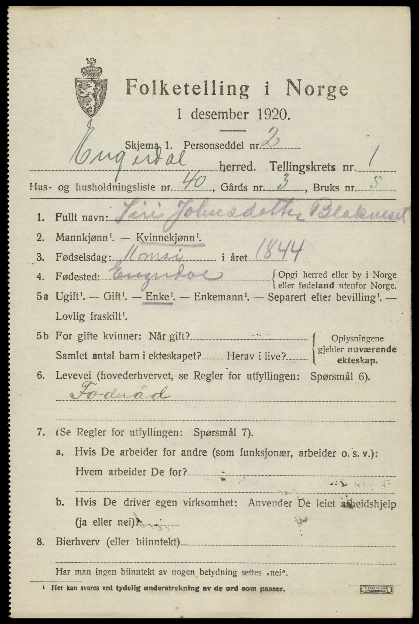 SAH, 1920 census for Engerdal, 1920, p. 913