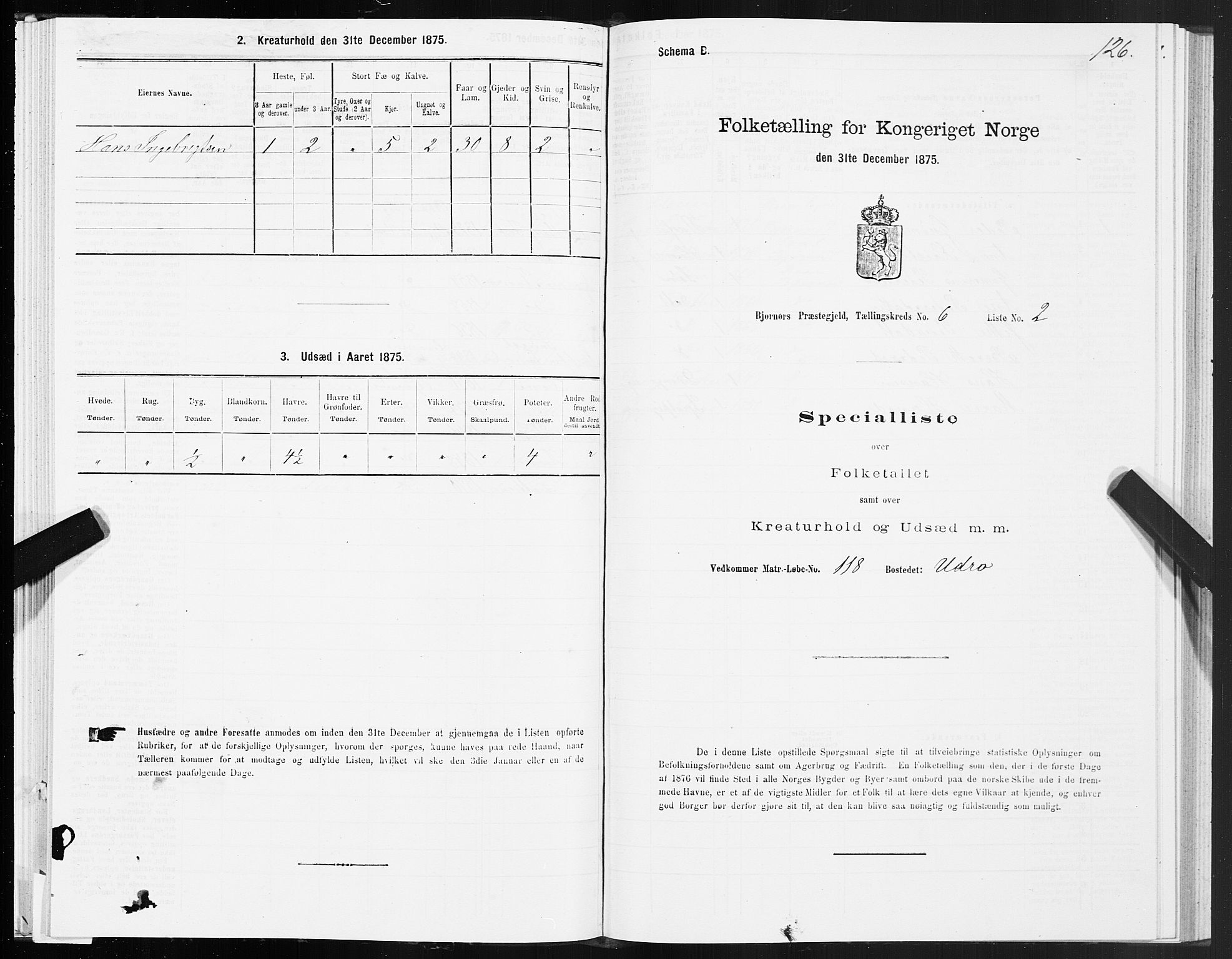 SAT, 1875 census for 1632P Bjørnør, 1875, p. 3126