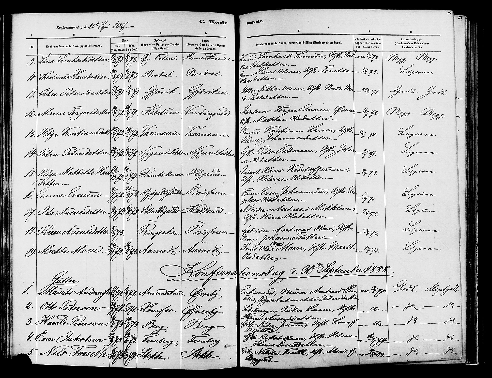 Vardal prestekontor, SAH/PREST-100/H/Ha/Haa/L0009: Parish register (official) no. 9, 1878-1892, p. 115