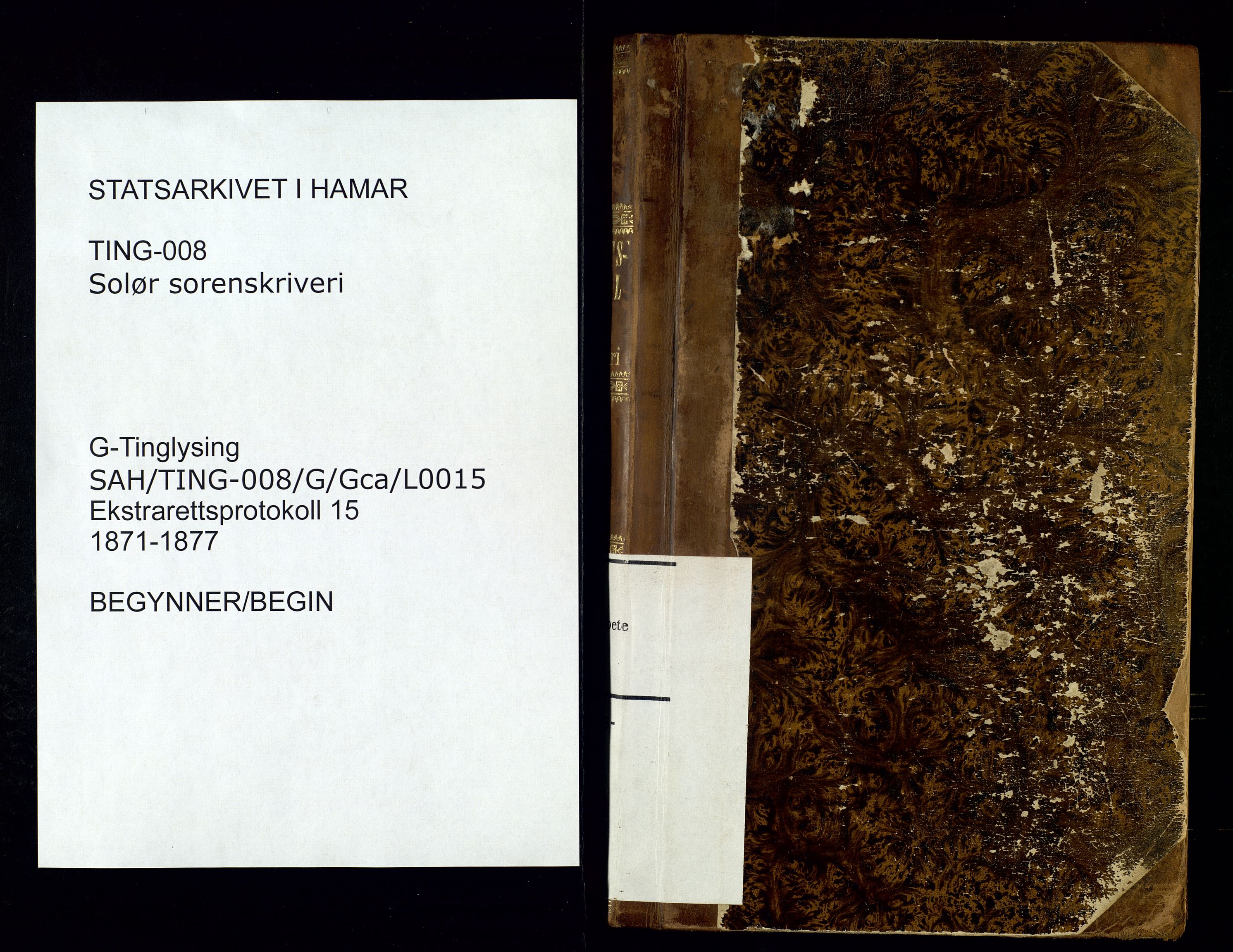 Solør tingrett, SAH/TING-008/G/Gc/Gca/L0015: Ekstrarettsprotokoll, 1871-1877