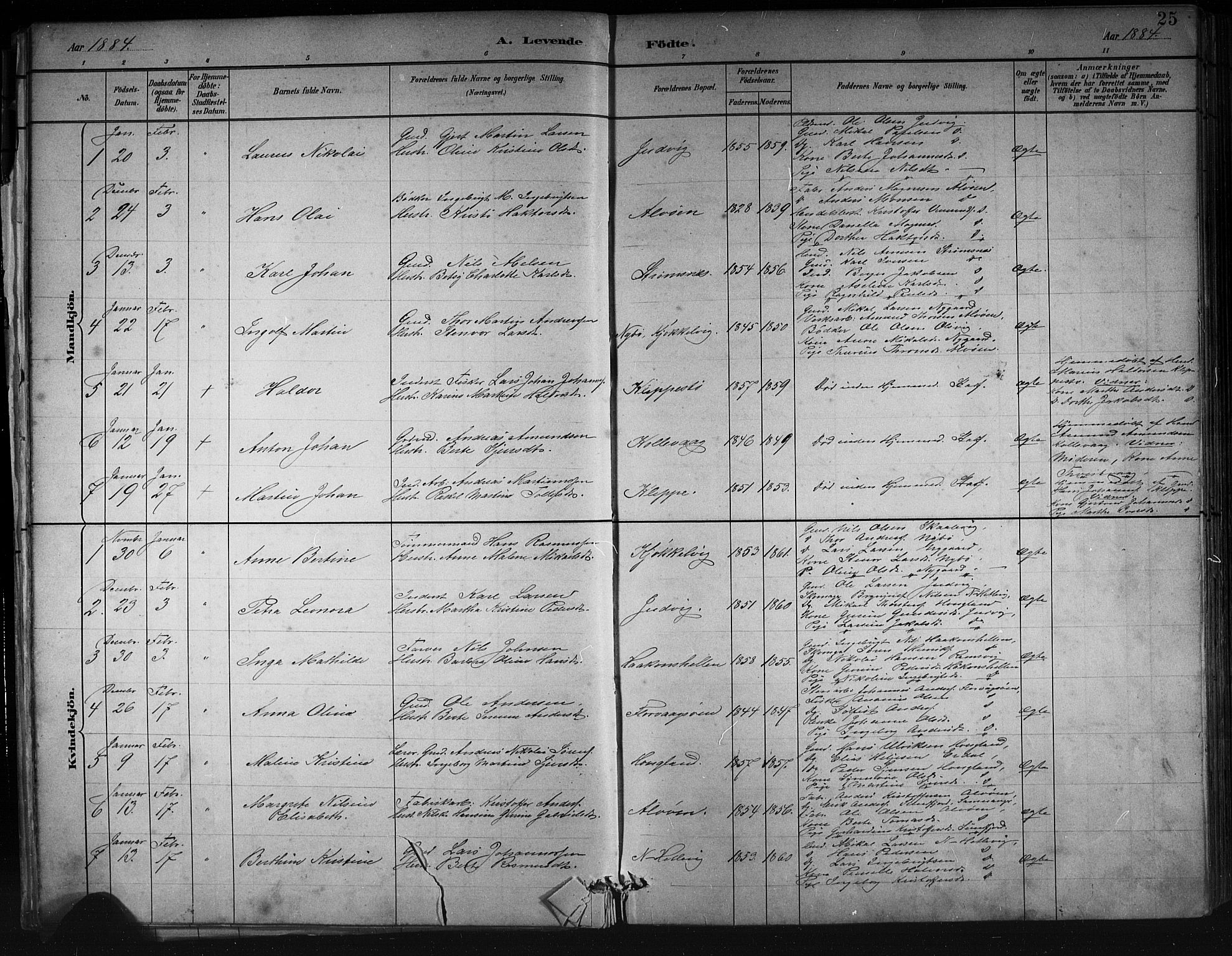 Askøy Sokneprestembete, AV/SAB-A-74101/H/Ha/Hab/Haba/L0008: Parish register (copy) no. A 8, 1882-1893, p. 25