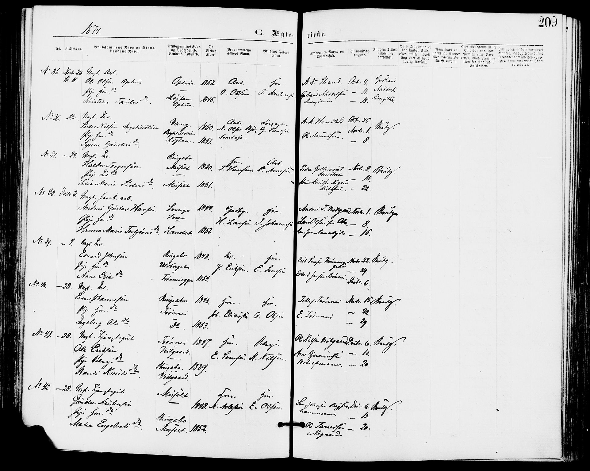 Stor-Elvdal prestekontor, SAH/PREST-052/H/Ha/Haa/L0001: Parish register (official) no. 1, 1871-1882, p. 209