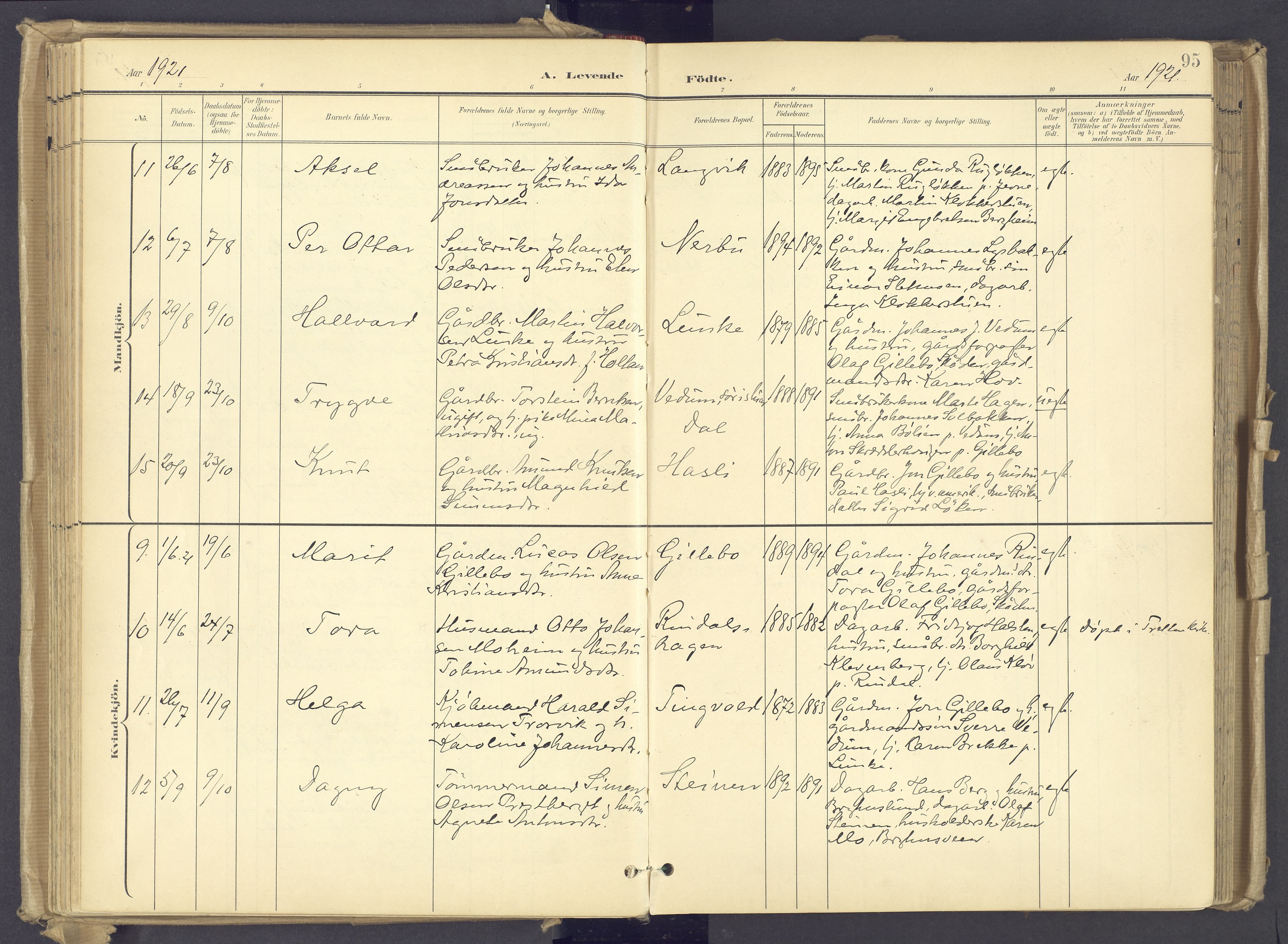 Øyer prestekontor, AV/SAH-PREST-084/H/Ha/Haa/L0012: Parish register (official) no. 12, 1897-1920, p. 95