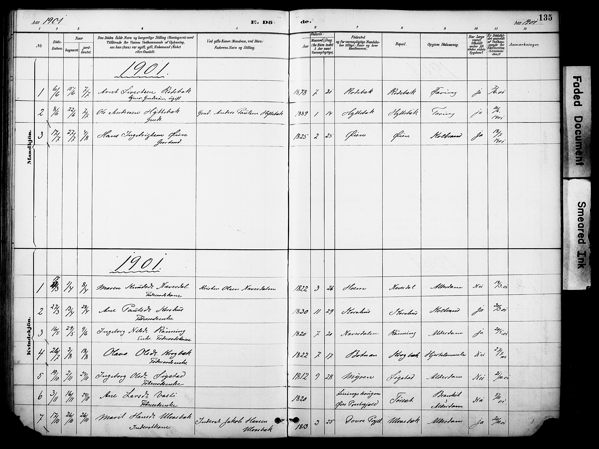 Kvikne prestekontor, SAH/PREST-064/H/Ha/Haa/L0007: Parish register (official) no. 7, 1887-1911, p. 135