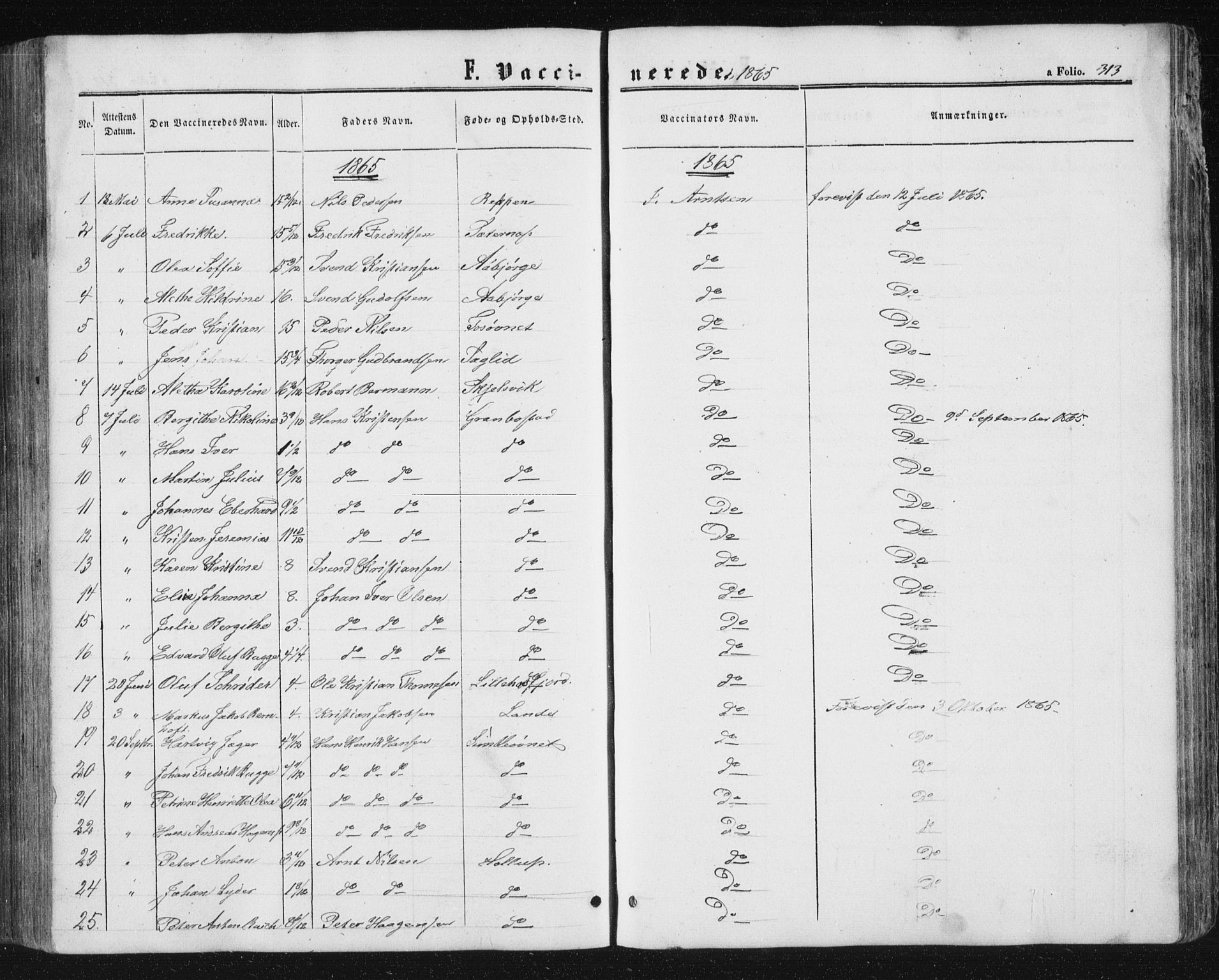 Ministerialprotokoller, klokkerbøker og fødselsregistre - Nordland, AV/SAT-A-1459/810/L0158: Parish register (copy) no. 810C02 /1, 1863-1883, p. 313