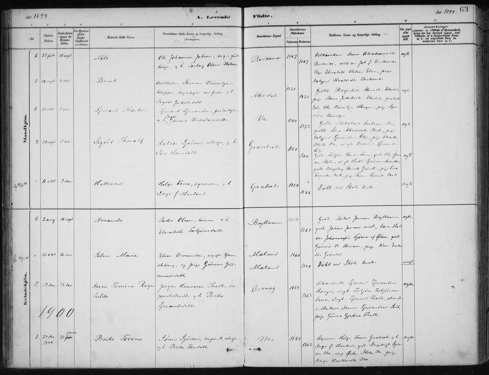 Etne sokneprestembete, AV/SAB-A-75001/H/Haa: Parish register (official) no. C  1, 1879-1919, p. 63