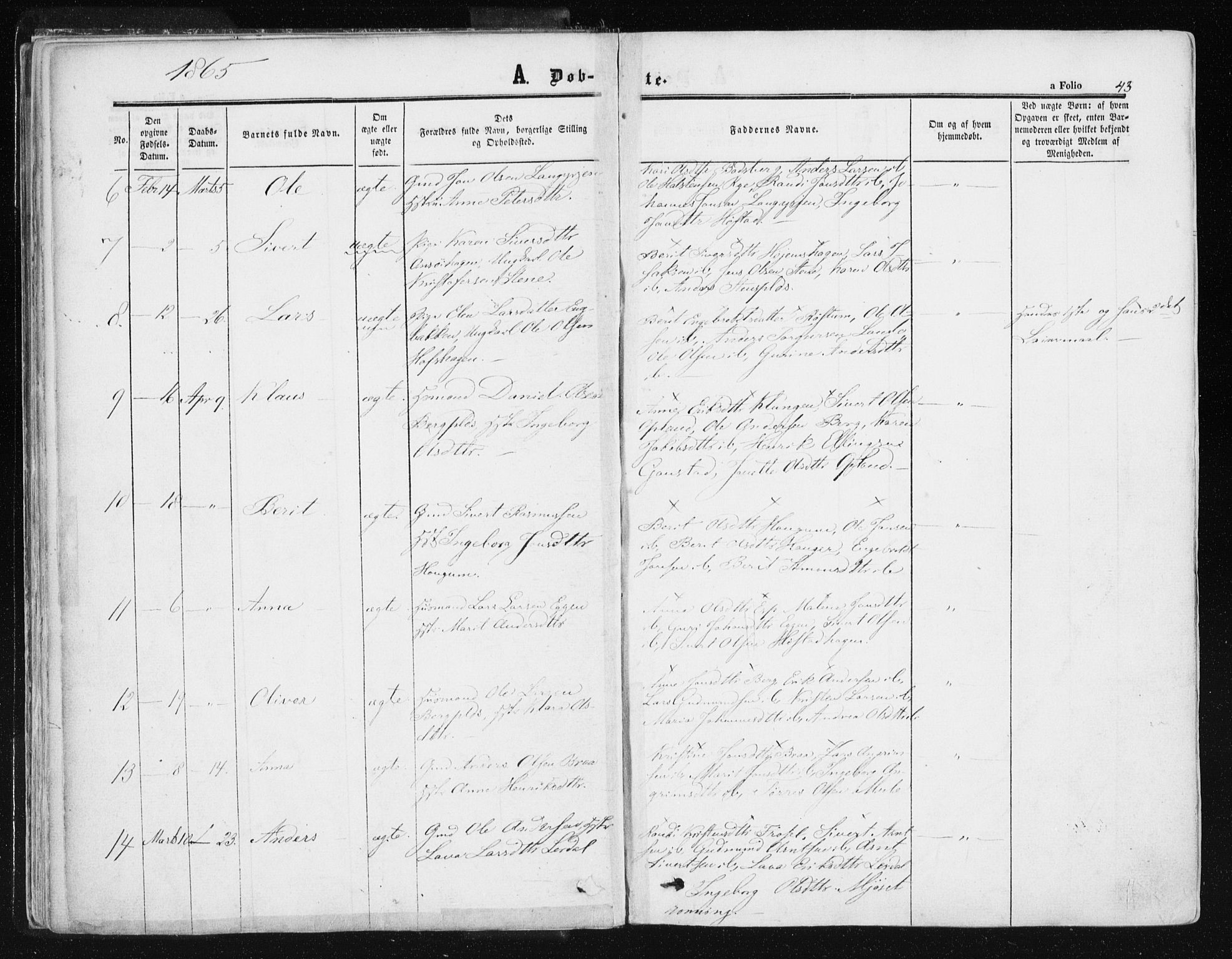 Ministerialprotokoller, klokkerbøker og fødselsregistre - Sør-Trøndelag, SAT/A-1456/612/L0377: Parish register (official) no. 612A09, 1859-1877, p. 43