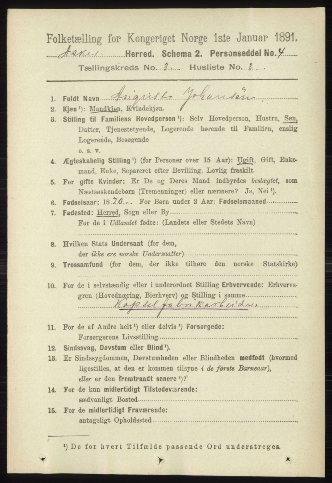 RA, 1891 census for 0220 Asker, 1891, p. 2002