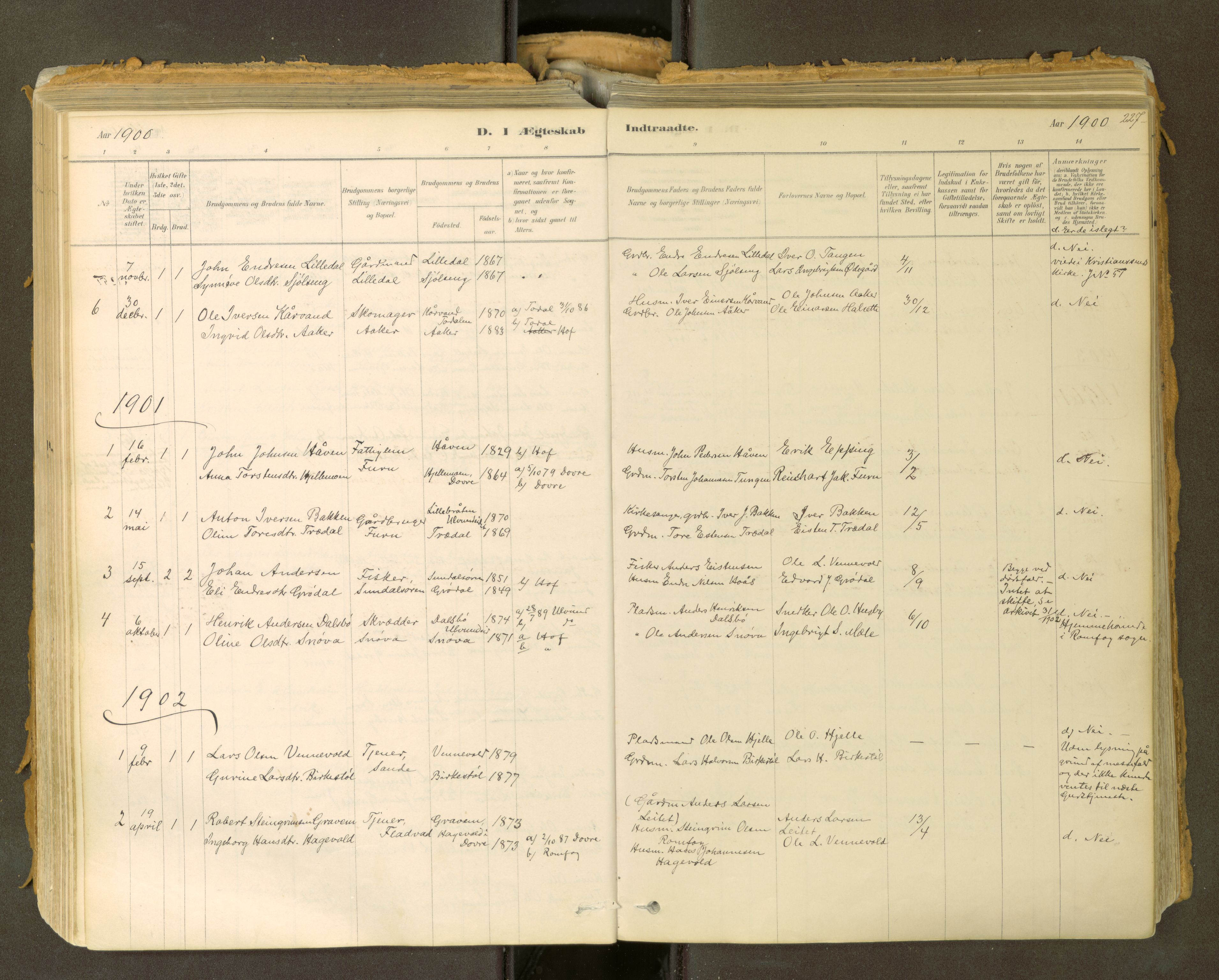 Sunndal sokneprestkontor, SAT/A-1085/1/I/I1/I1a: Parish register (official) no. 2, 1877-1914, p. 227