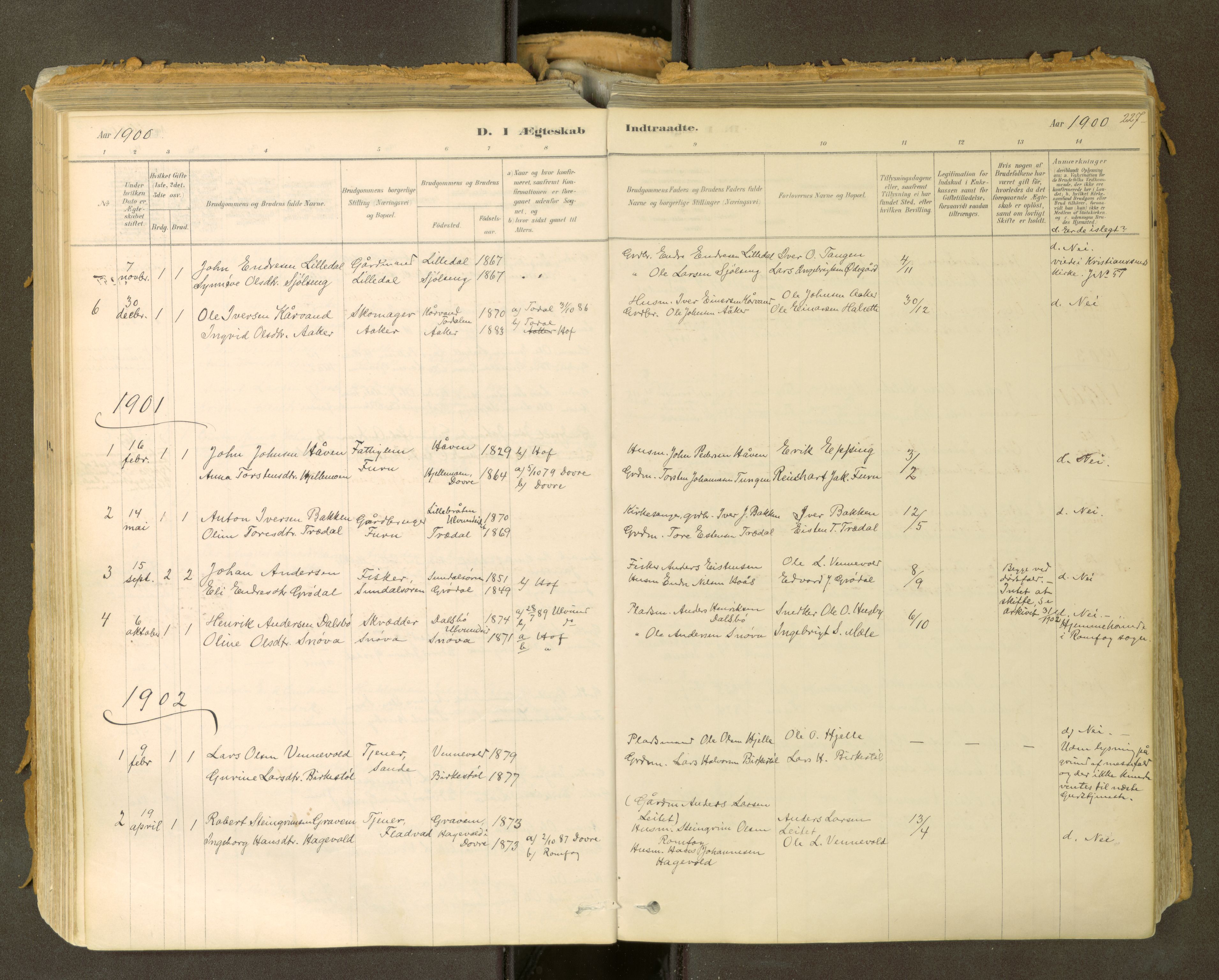 Sunndal sokneprestkontor, AV/SAT-A-1085/1/I/I1/I1a: Parish register (official) no. 2, 1877-1914, p. 227