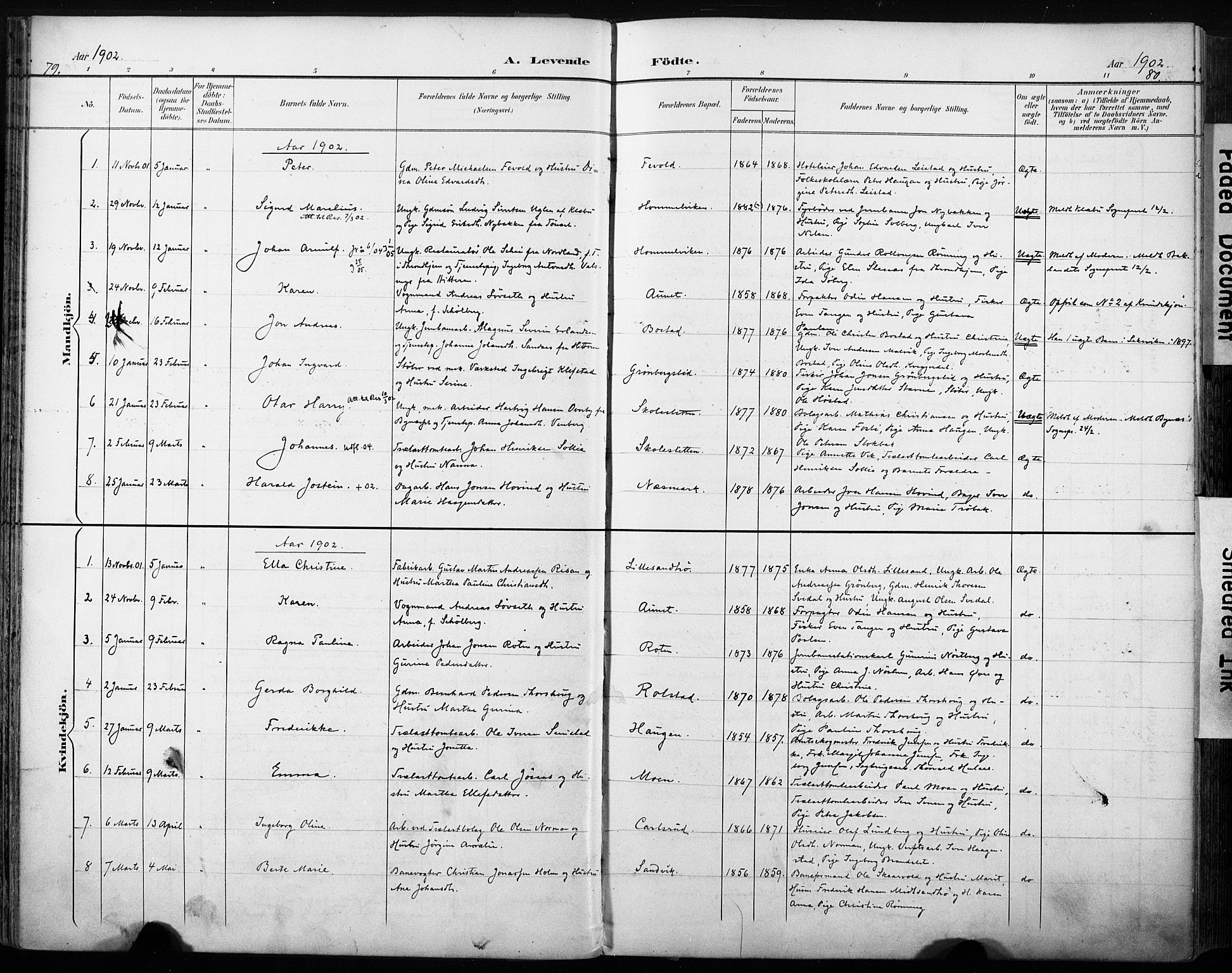 Ministerialprotokoller, klokkerbøker og fødselsregistre - Sør-Trøndelag, SAT/A-1456/616/L0411: Parish register (official) no. 616A08, 1894-1906, p. 79-80
