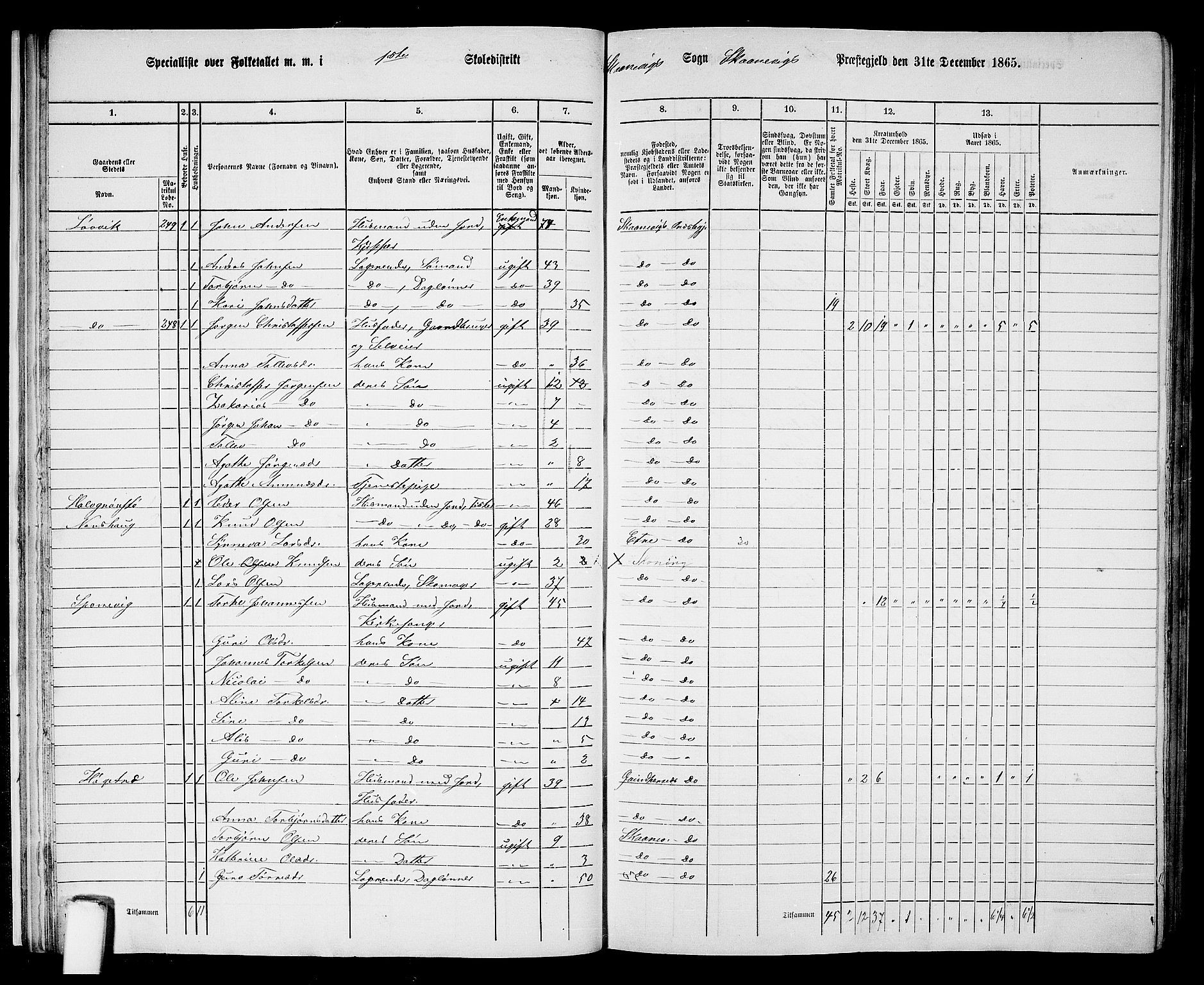 RA, 1865 census for Skånevik, 1865, p. 17