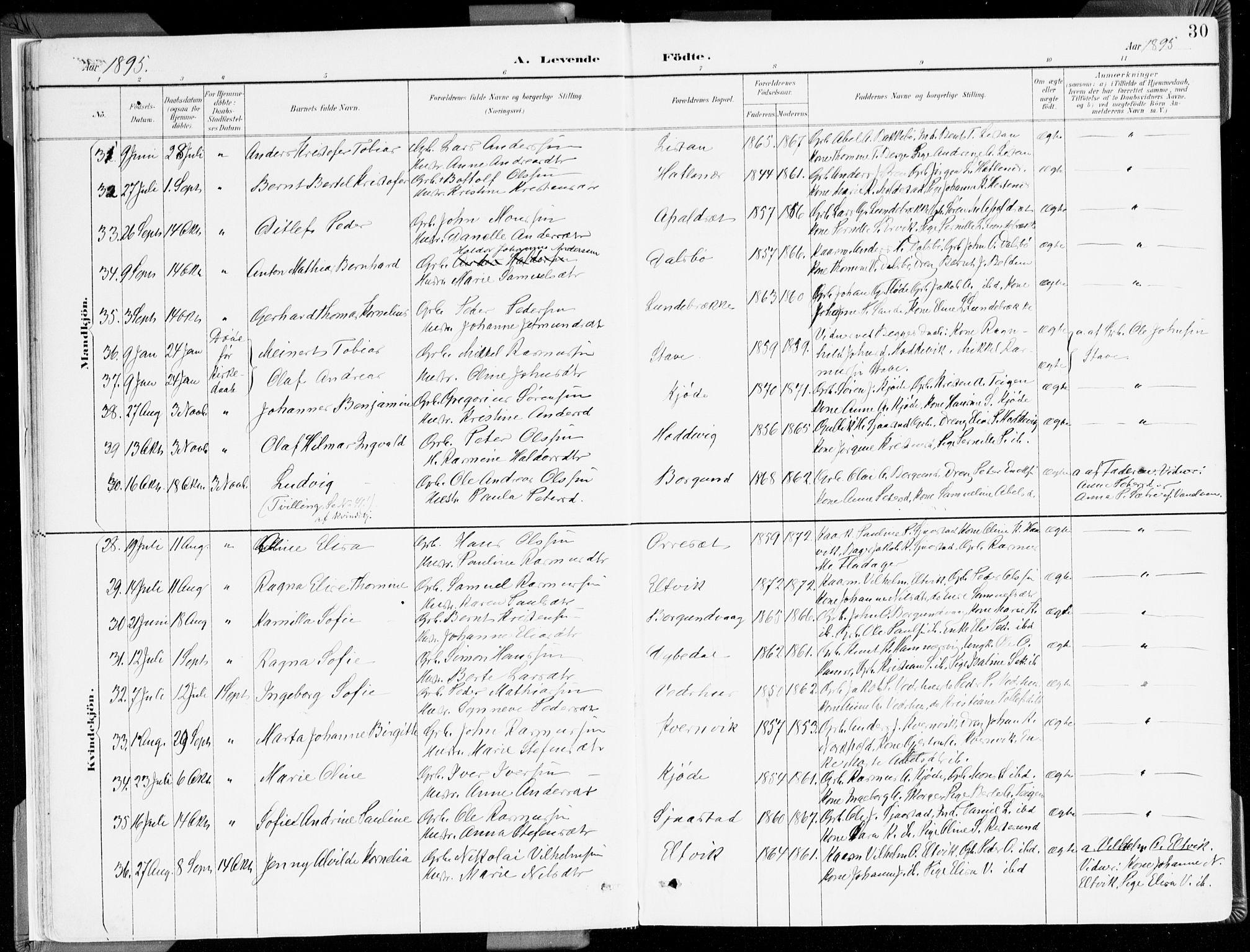 Selje sokneprestembete, AV/SAB-A-99938/H/Ha/Haa/Haab: Parish register (official) no. B 2, 1891-1907, p. 30