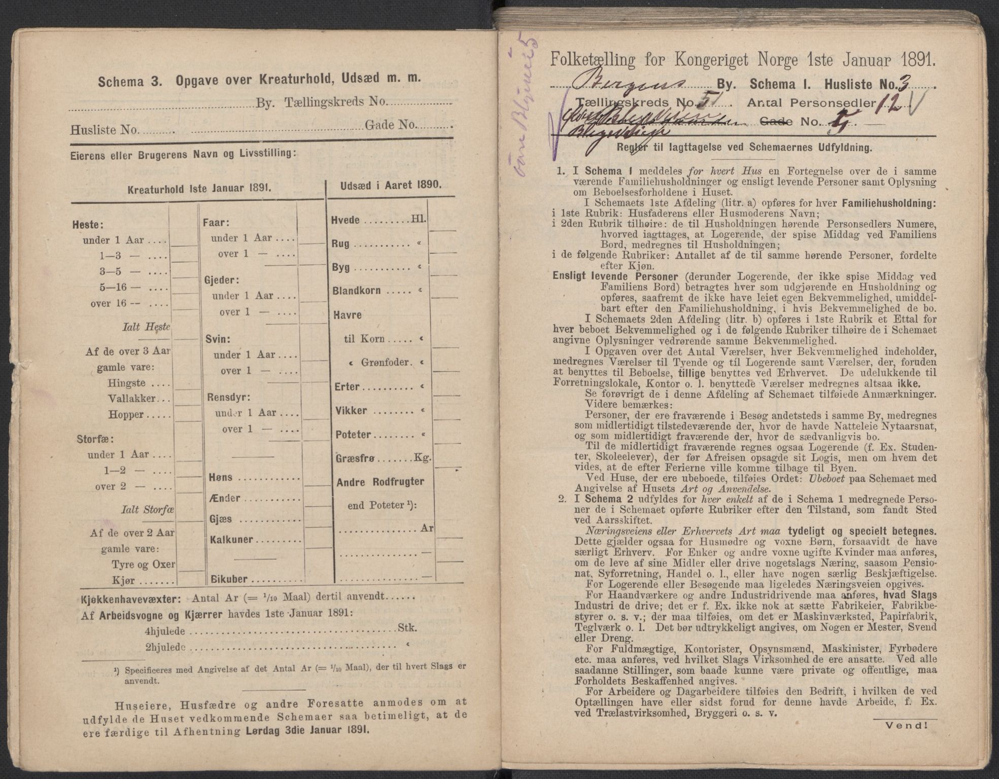 RA, 1891 Census for 1301 Bergen, 1891, p. 8326