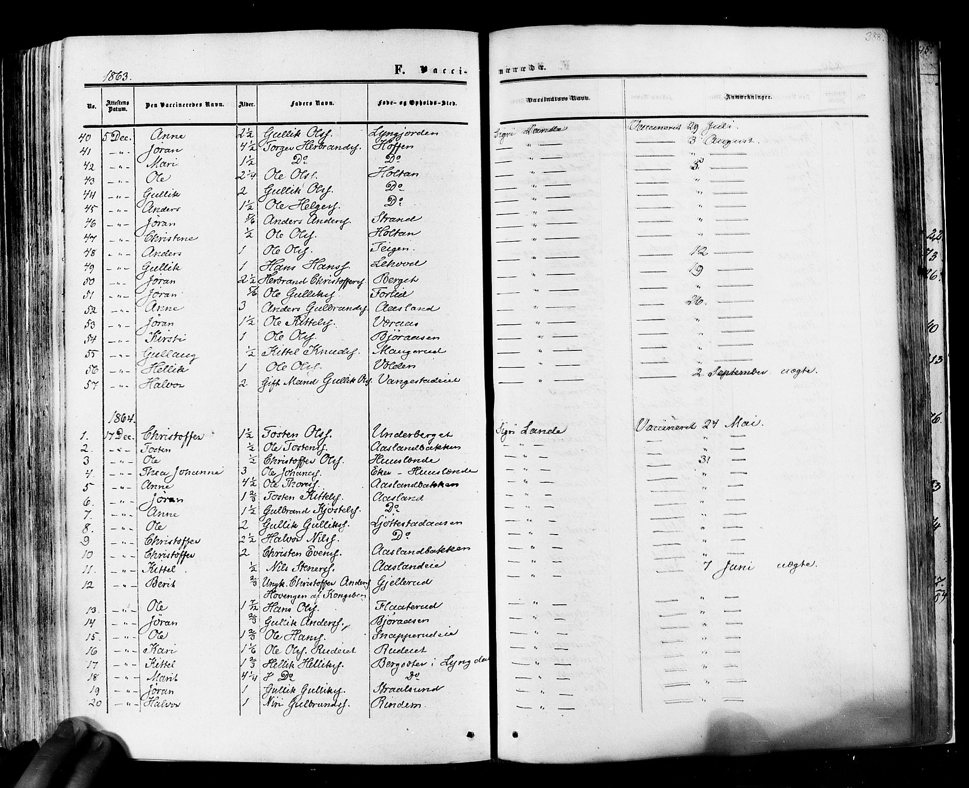 Flesberg kirkebøker, SAKO/A-18/F/Fa/L0007: Parish register (official) no. I 7, 1861-1878, p. 388