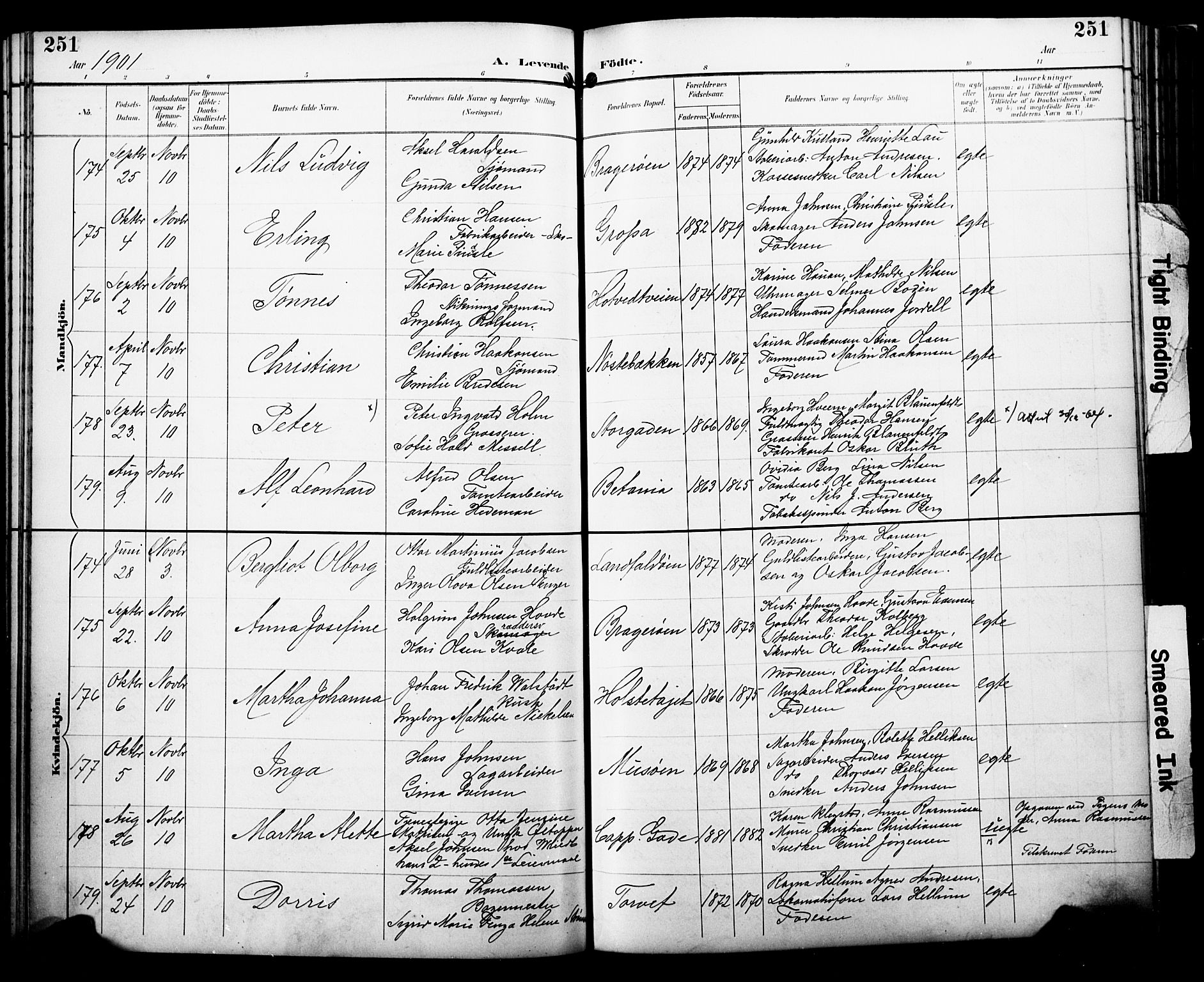 Bragernes kirkebøker, AV/SAKO-A-6/F/Fb/L0008: Parish register (official) no. II 8, 1894-1902, p. 251