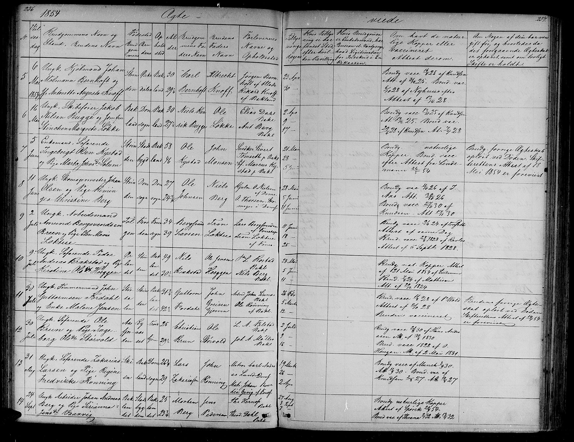 Ministerialprotokoller, klokkerbøker og fødselsregistre - Sør-Trøndelag, SAT/A-1456/604/L0219: Parish register (copy) no. 604C02, 1851-1869, p. 256-257