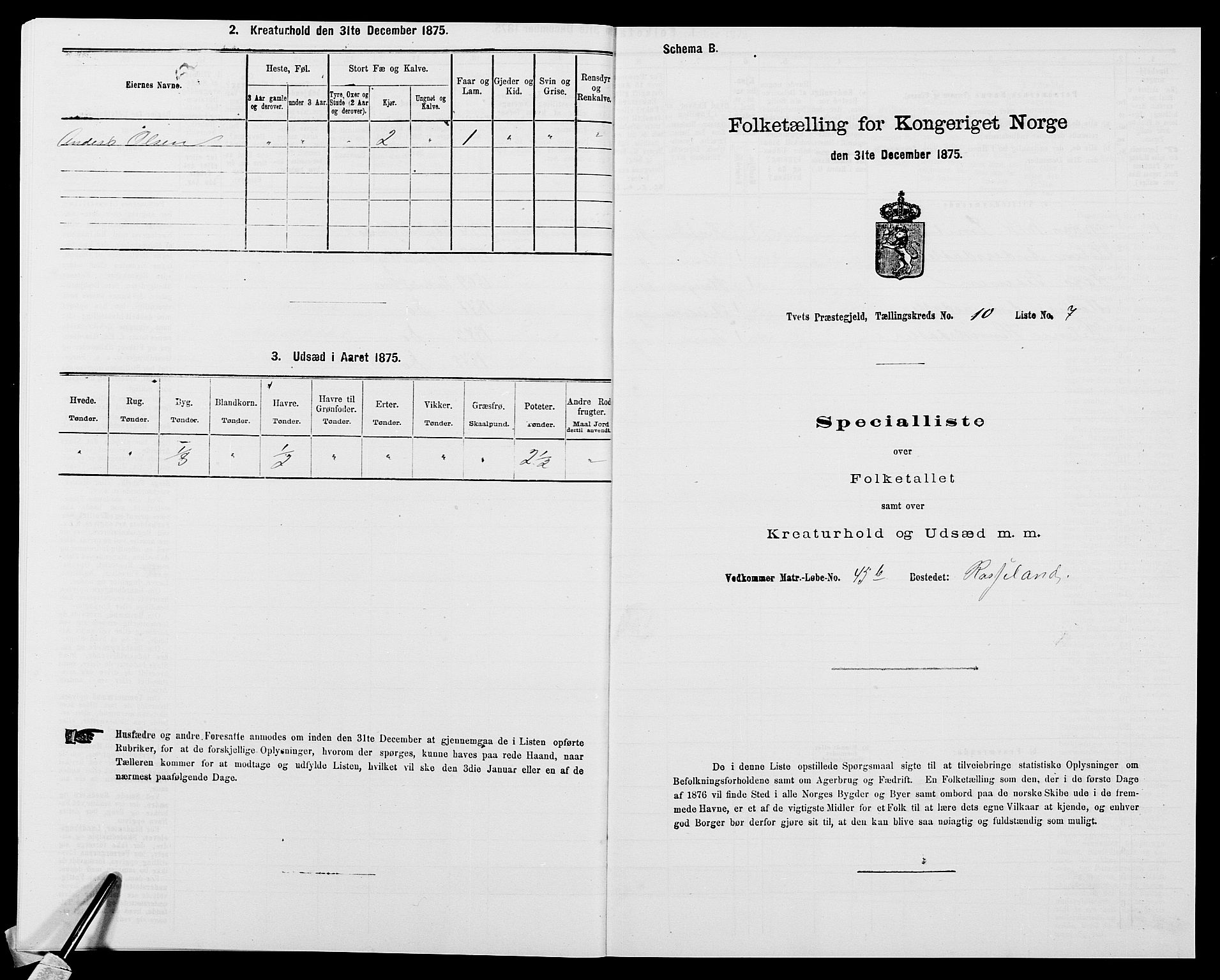 SAK, 1875 census for 1013P Tveit, 1875, p. 1198