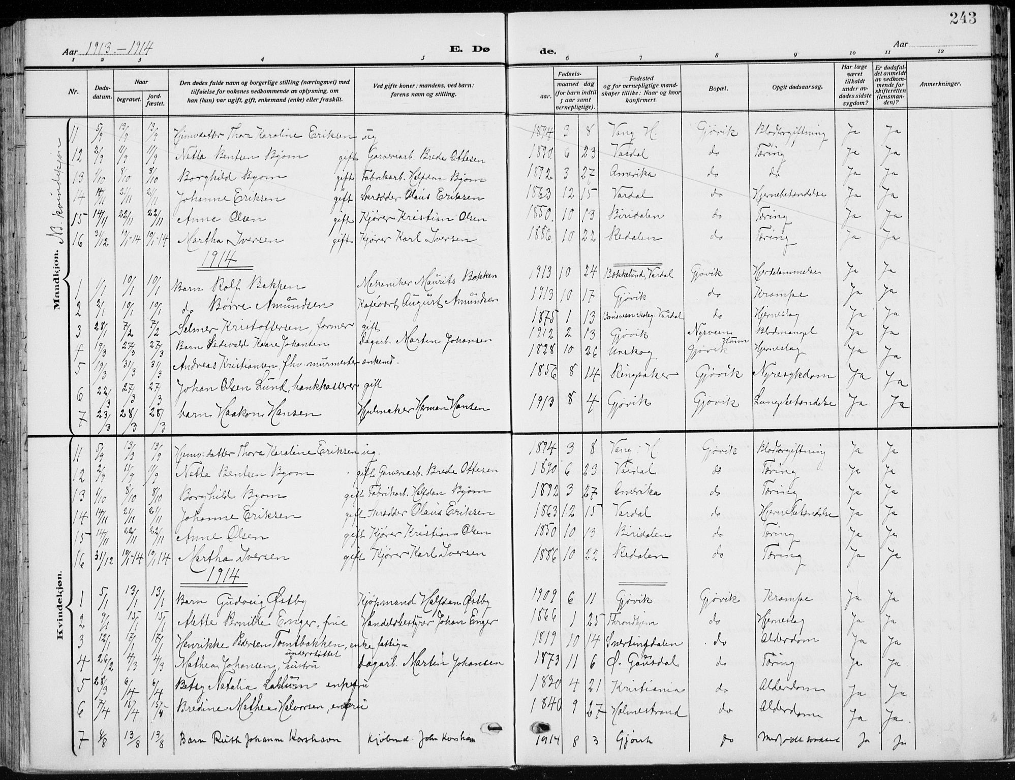 Vardal prestekontor, SAH/PREST-100/H/Ha/Haa/L0014: Parish register (official) no. 14, 1912-1922, p. 243