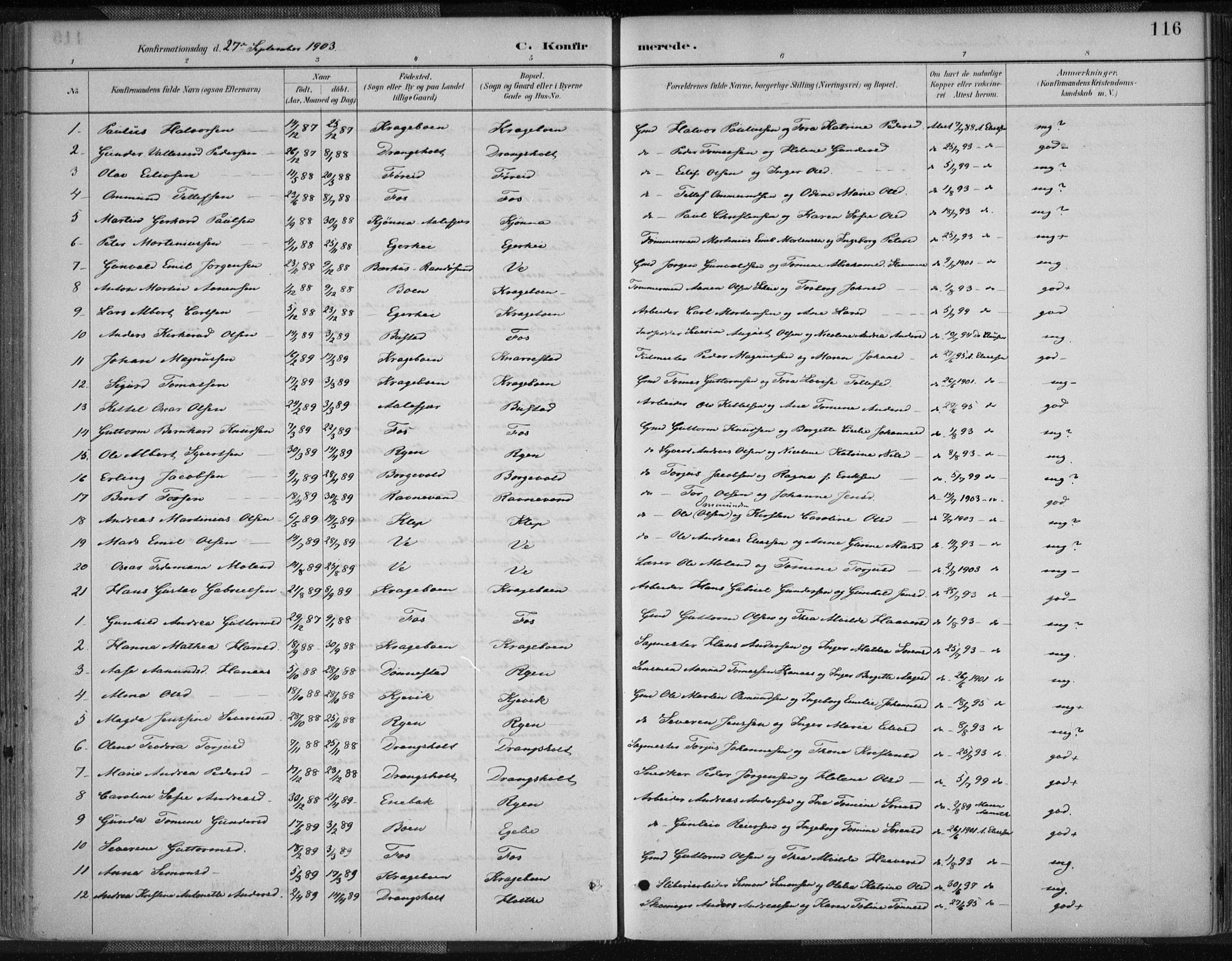 Tveit sokneprestkontor, AV/SAK-1111-0043/F/Fa/L0007: Parish register (official) no. A 7, 1887-1908, p. 116