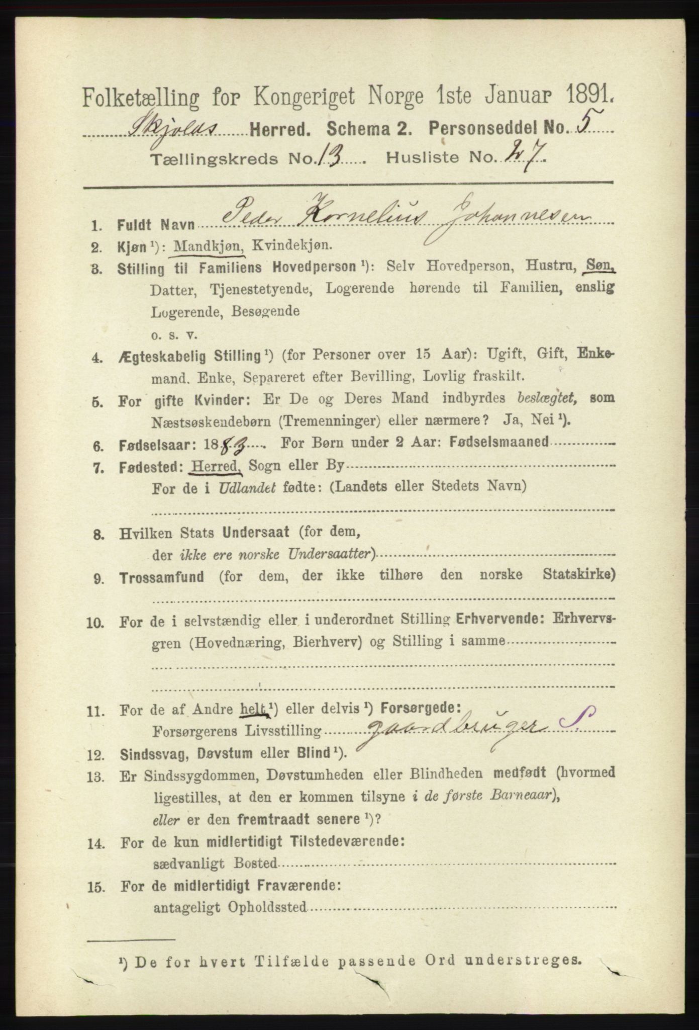 RA, 1891 census for 1154 Skjold, 1891, p. 2521