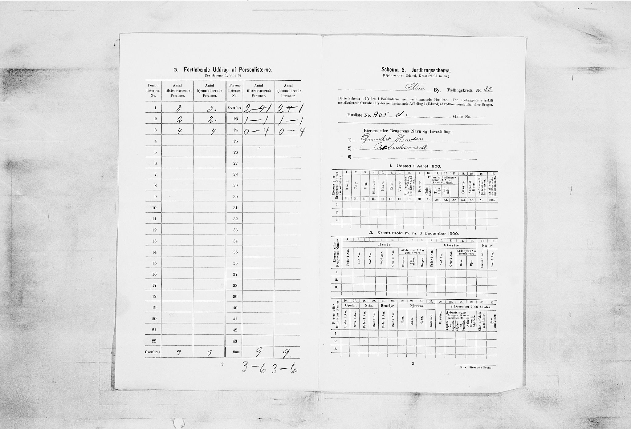 SAKO, 1900 census for Skien, 1900, p. 3733