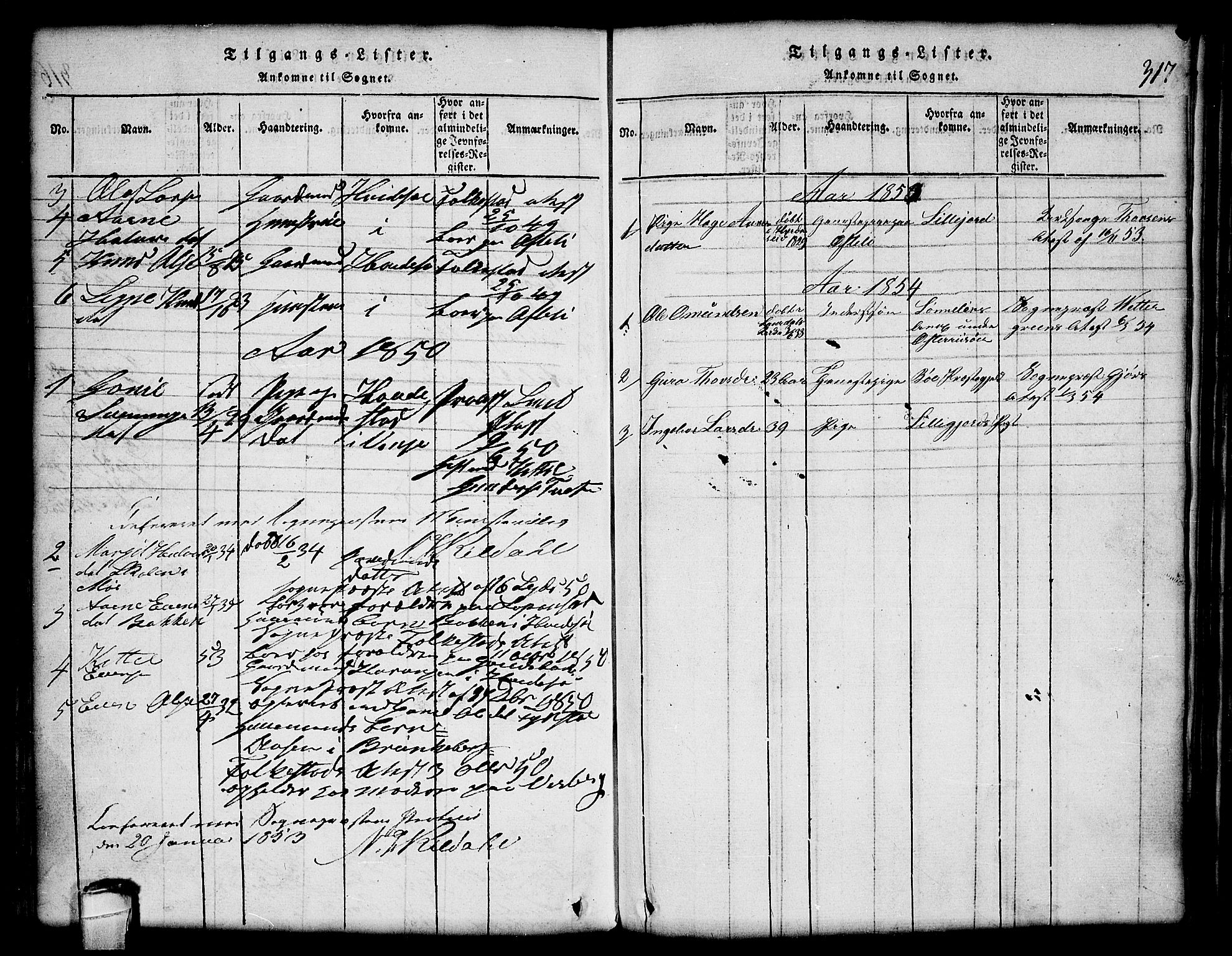 Lårdal kirkebøker, SAKO/A-284/G/Gc/L0001: Parish register (copy) no. III 1, 1815-1854, p. 317