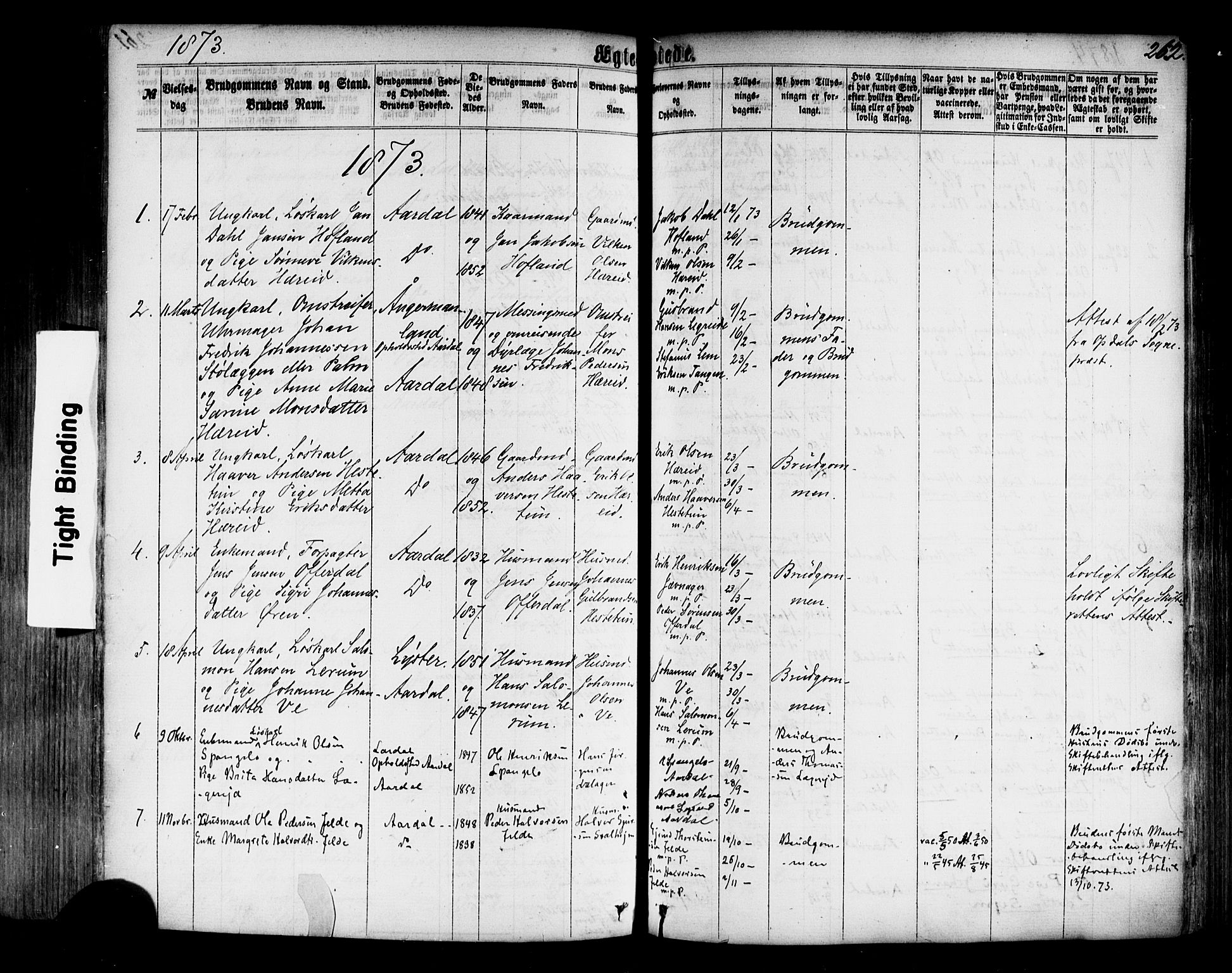 Årdal sokneprestembete, SAB/A-81701: Parish register (official) no. A 3, 1863-1886, p. 262