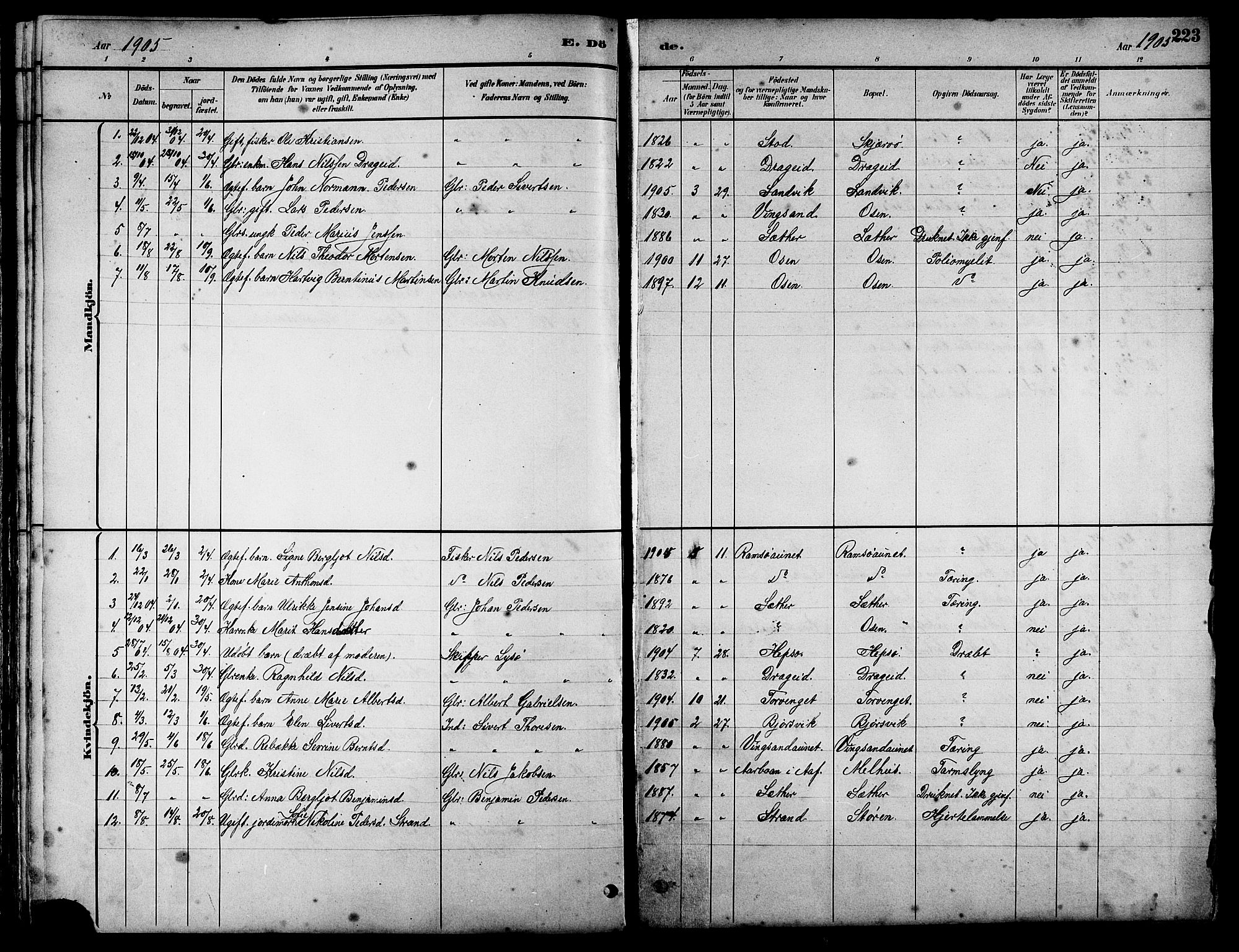 Ministerialprotokoller, klokkerbøker og fødselsregistre - Sør-Trøndelag, SAT/A-1456/658/L0726: Parish register (copy) no. 658C02, 1883-1908, p. 223