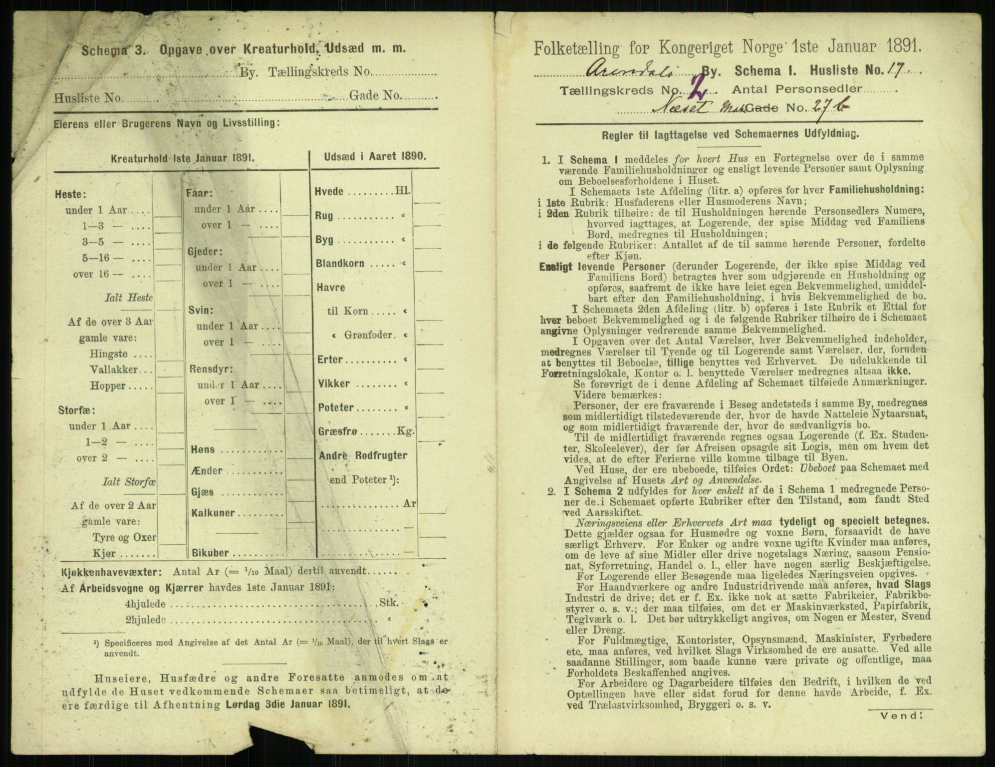 RA, 1891 census for 0903 Arendal, 1891, p. 118