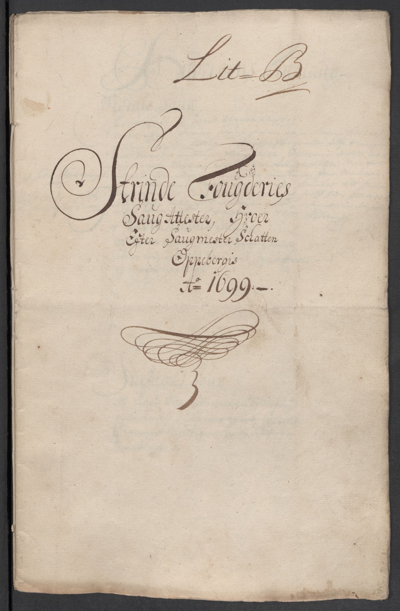 Rentekammeret inntil 1814, Reviderte regnskaper, Fogderegnskap, RA/EA-4092/R61/L4107: Fogderegnskap Strinda og Selbu, 1698-1700, p. 230