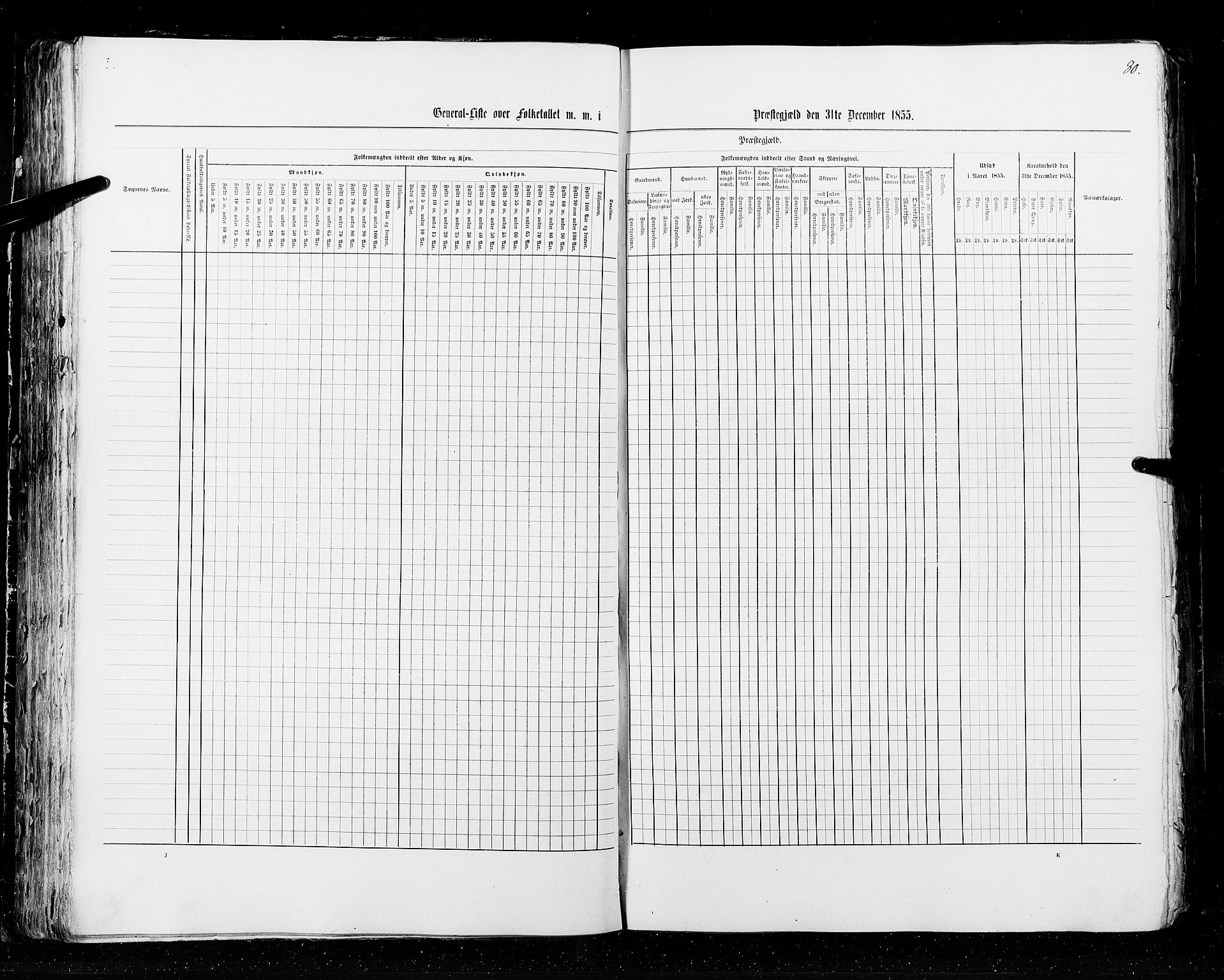 RA, Census 1855, vol. 2: Kristians amt, Buskerud amt og Jarlsberg og Larvik amt, 1855, p. 80