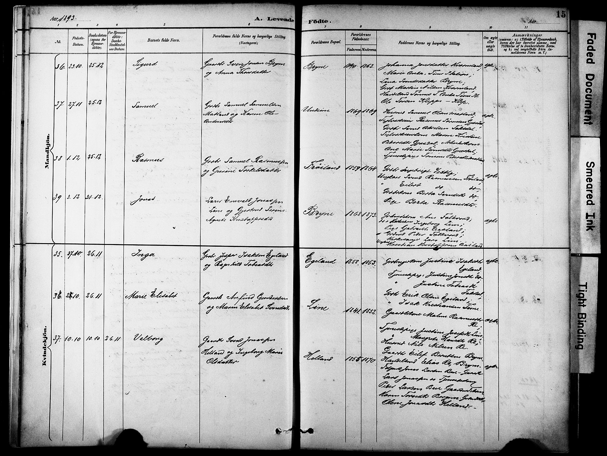 Lye sokneprestkontor, AV/SAST-A-101794/001/30BA/L0011: Parish register (official) no. A 9, 1893-1903, p. 15